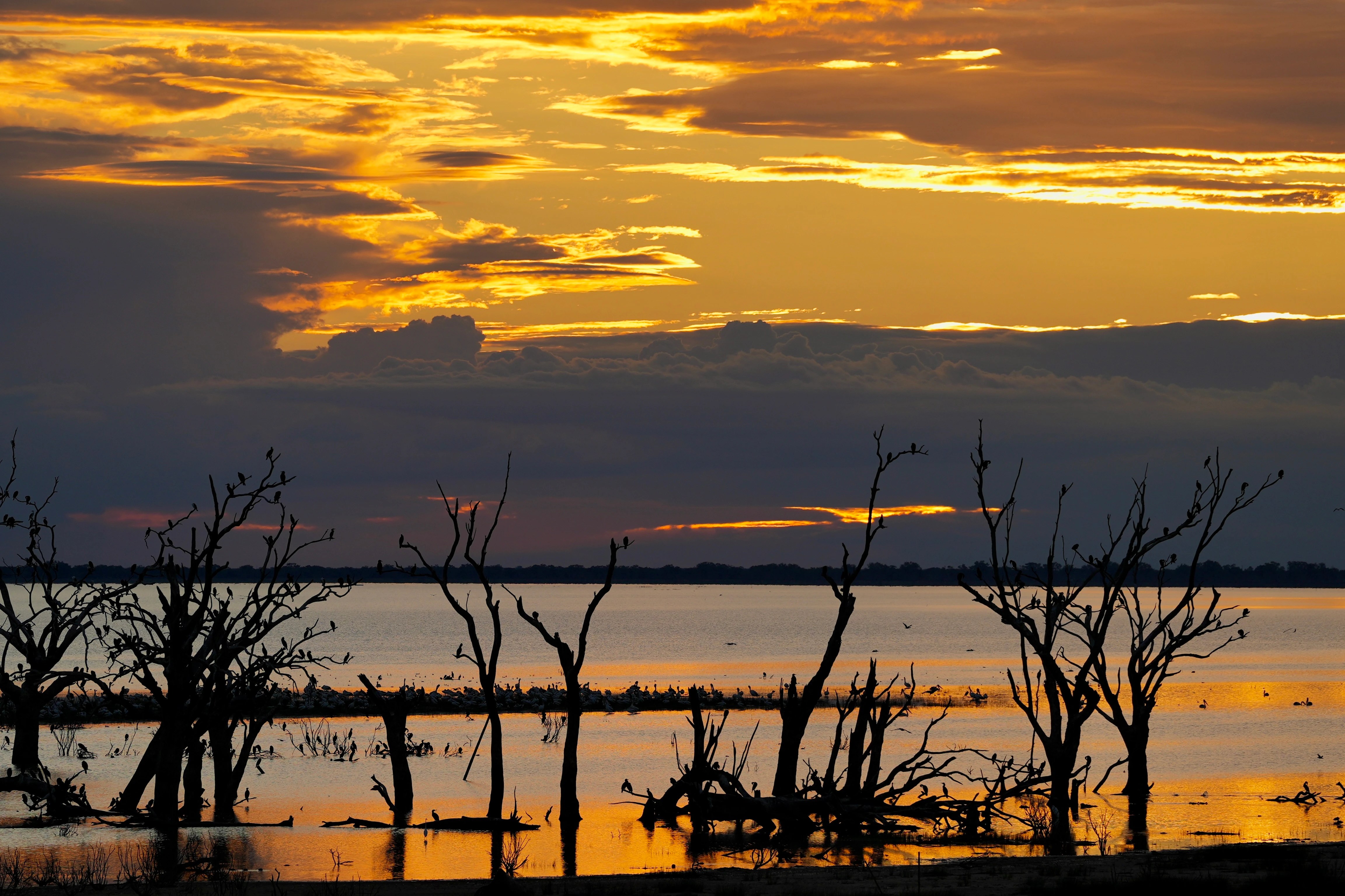 Menindee Lakes Water Release: Community Impact and Environmental Concerns (2026)