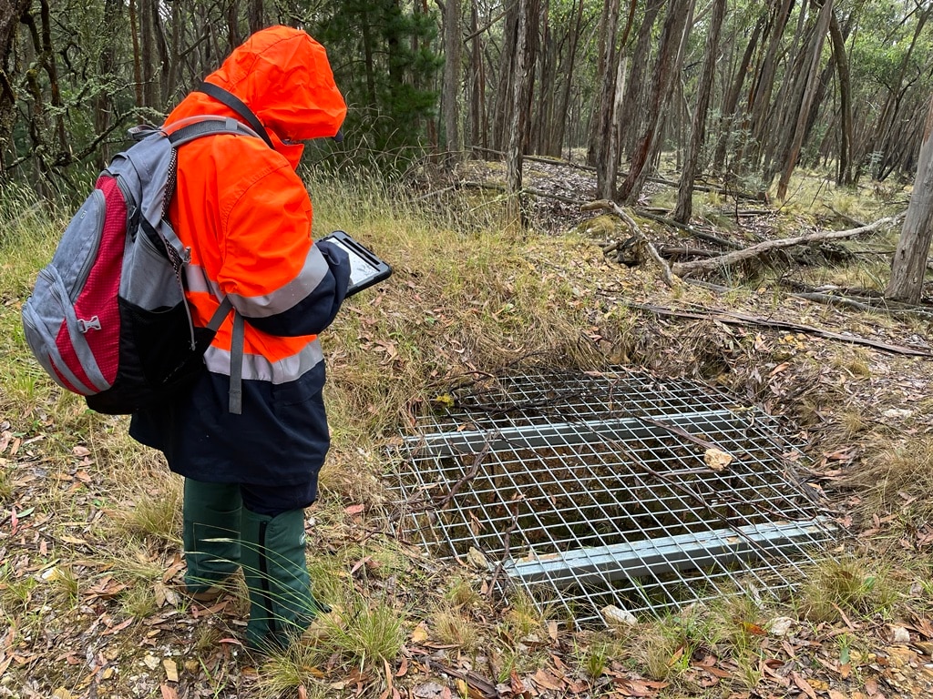 Victoria's Hidden Gold Rush Legacy: 200,000 Unrecorded Mining Features Mapped with LiDAR (2026)
