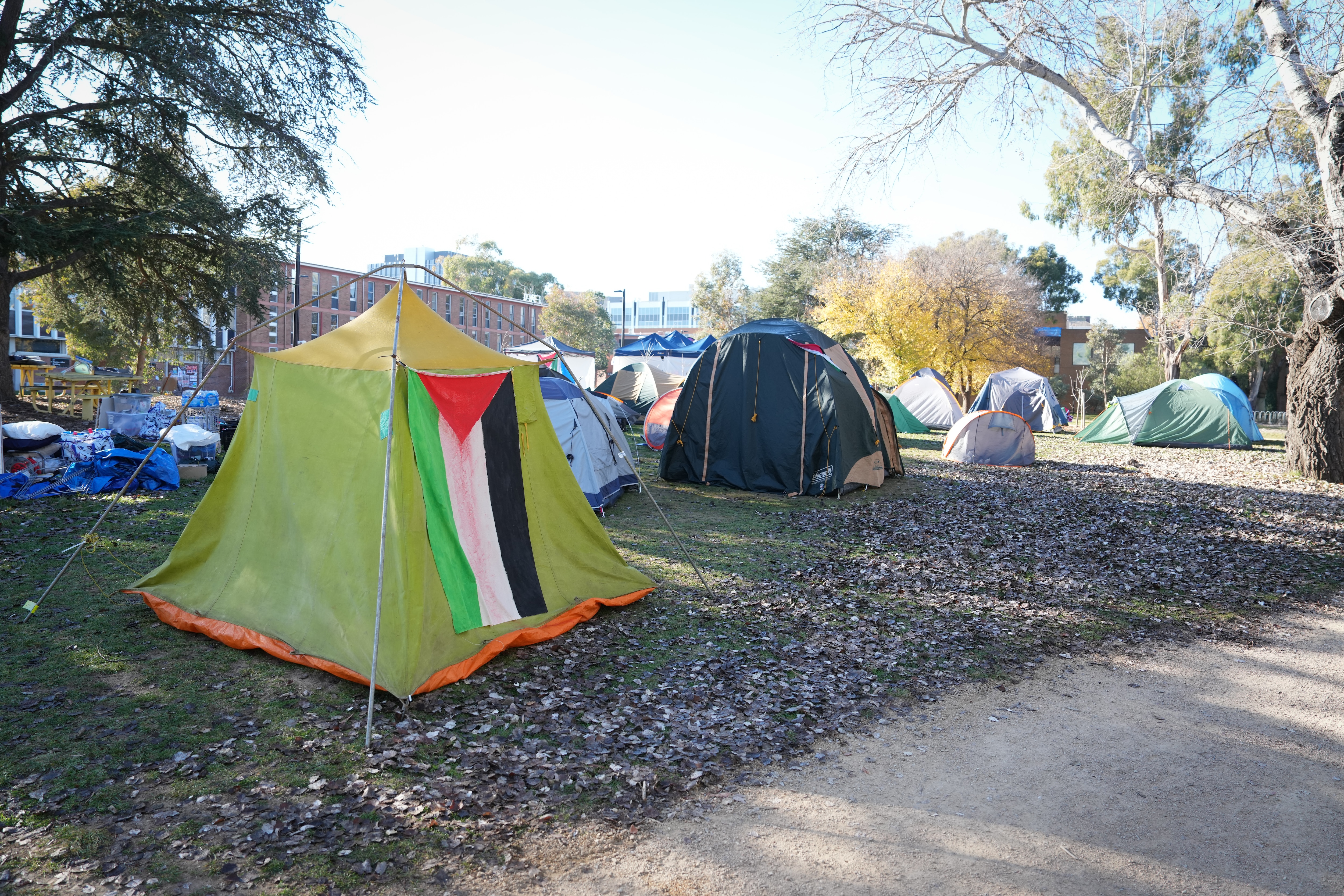 Antisemitism in Australia: Royal Commission Investigates University's Handling of Incidents (2026)