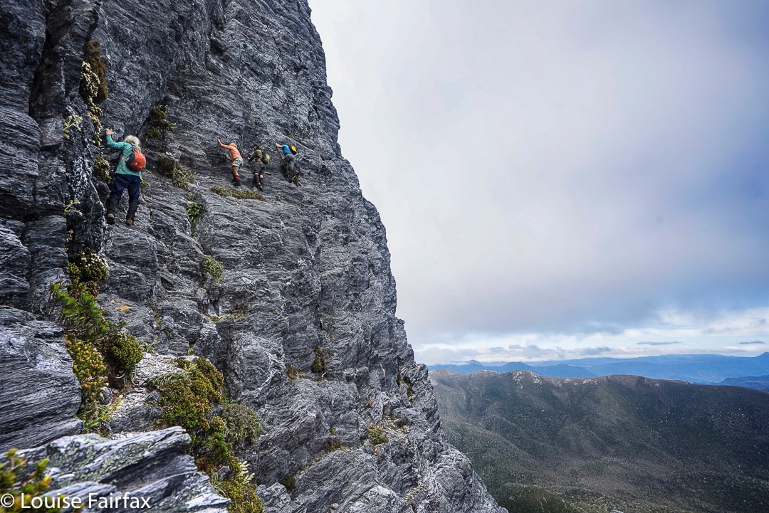 Tasmania's Federation Peak: A Deadly Bushwalk? | Coroner's Report (2026)