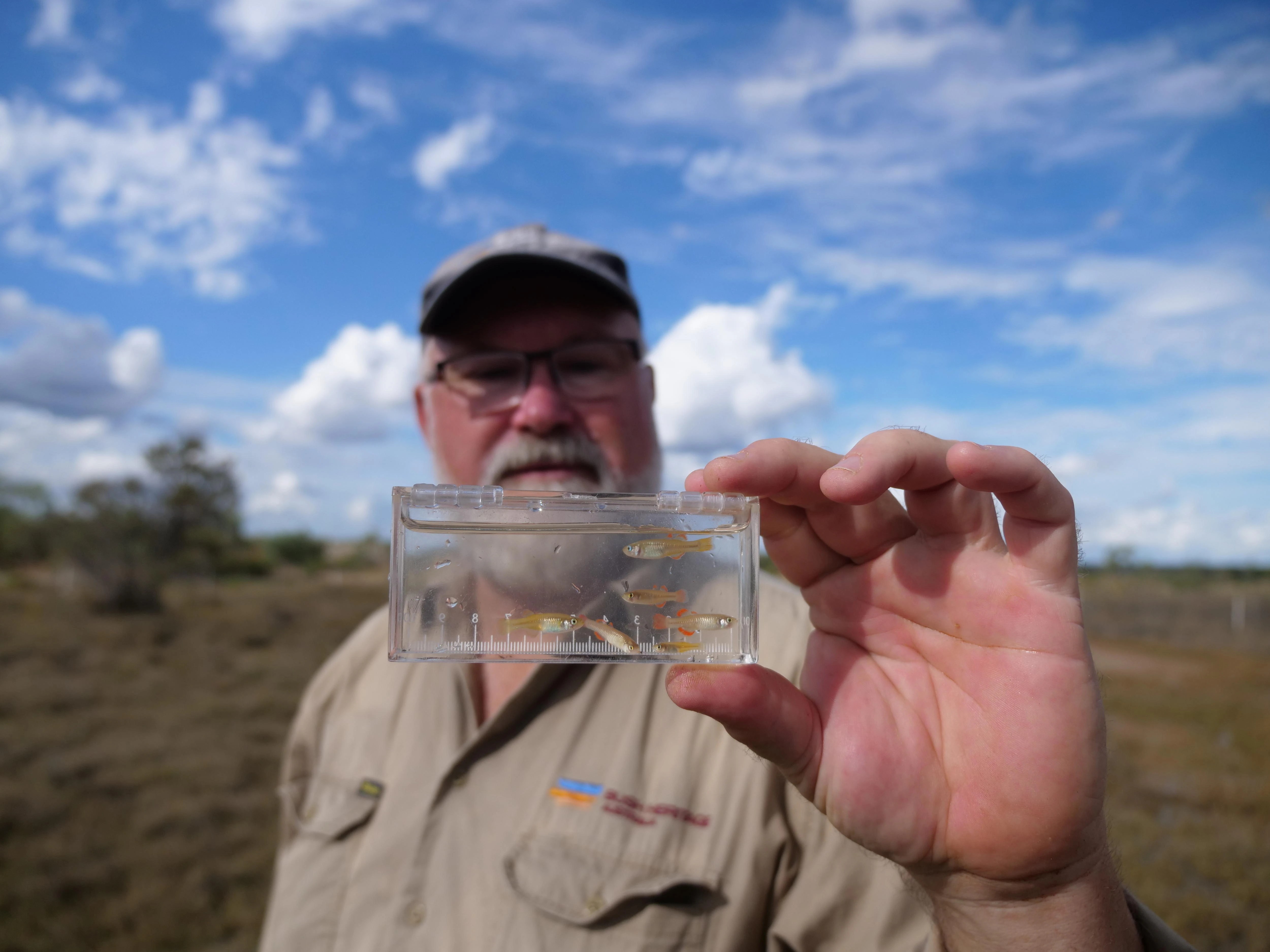 Saving the Red-Fin Blue-Eye Fish: A Race Against Invasive Predators (2026)