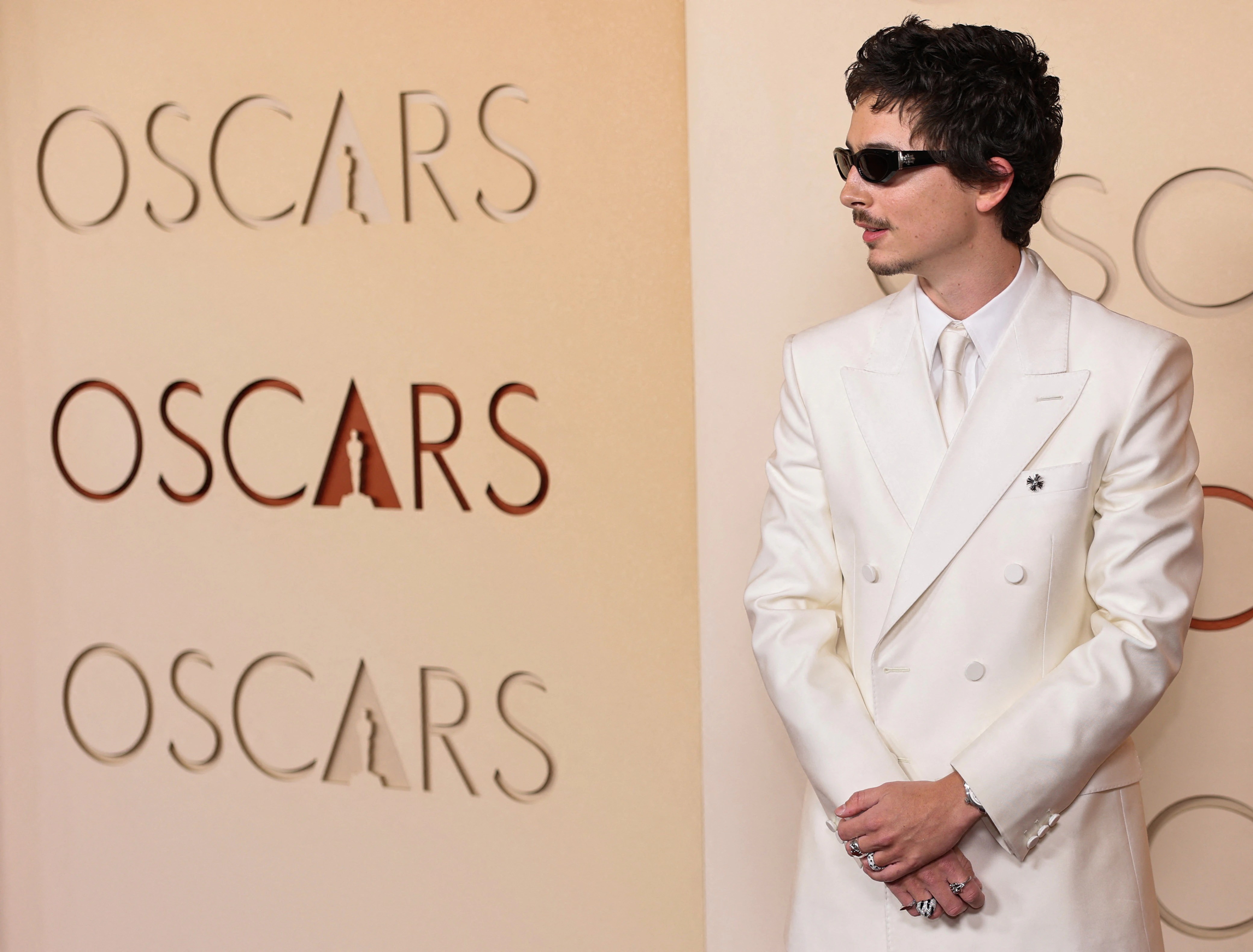 Timothée Chalamet's Oscar Journey: From Charm to Contempt (2026)