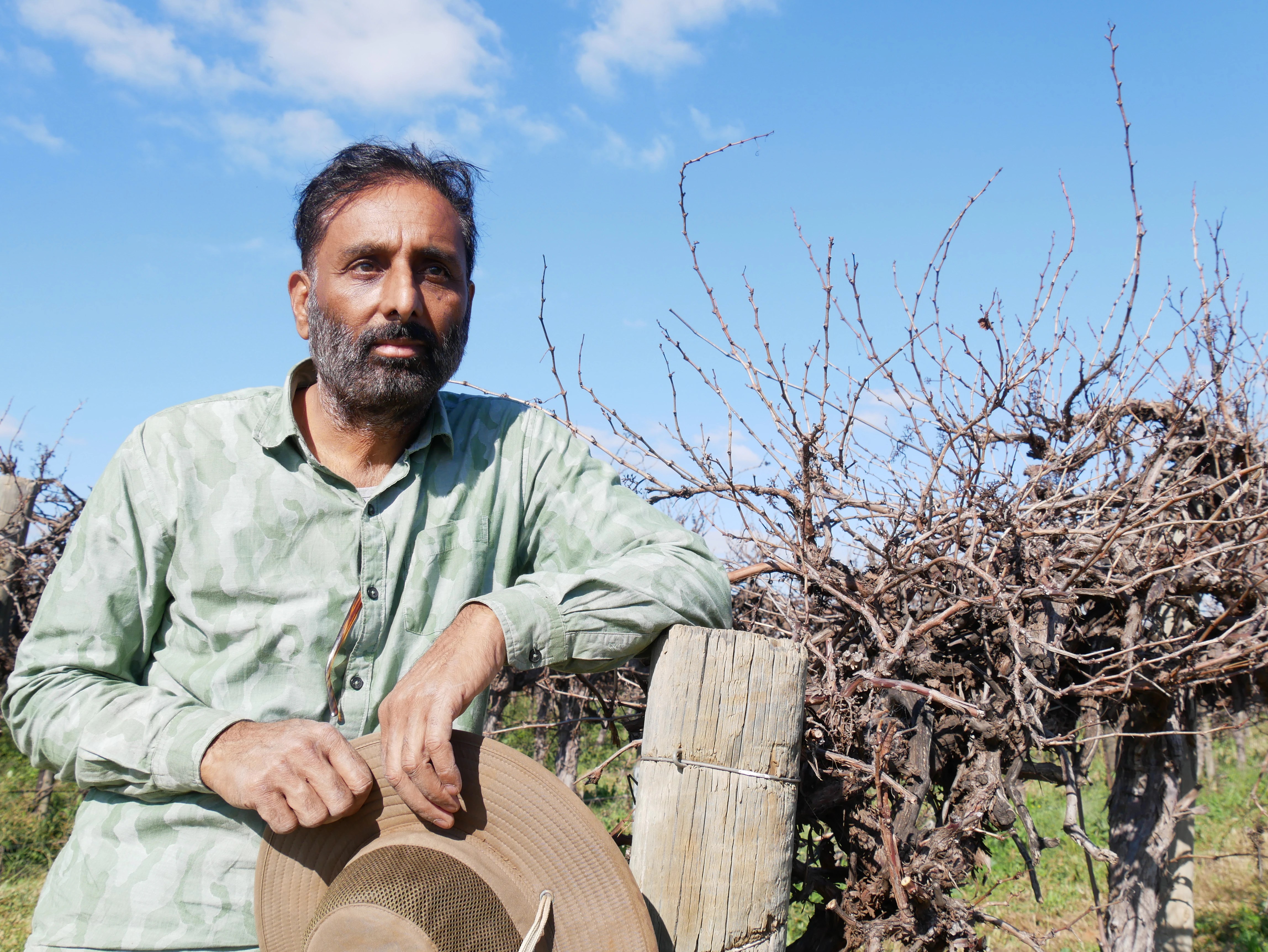 Australia's Wine Industry in Crisis: 2026 Vintage Report Reveals Lowest Harvest in Decades (2026)