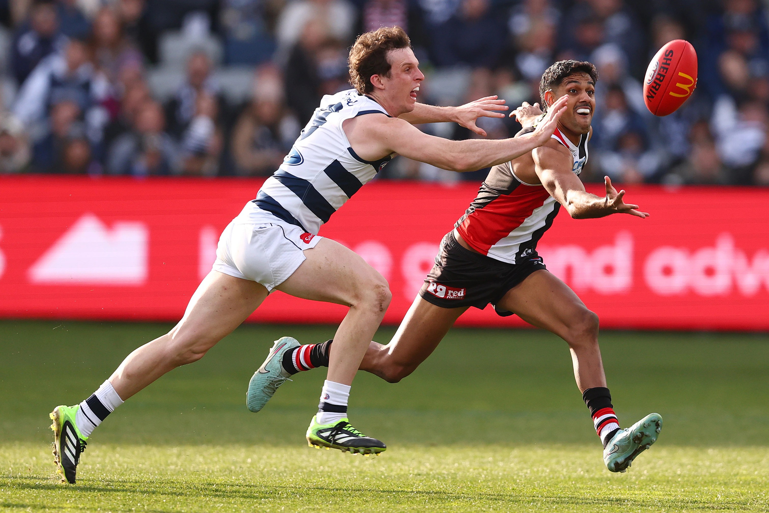 AFL Round 19: Live Updates, Scores, and Stats - Geelong vs St Kilda (2026)