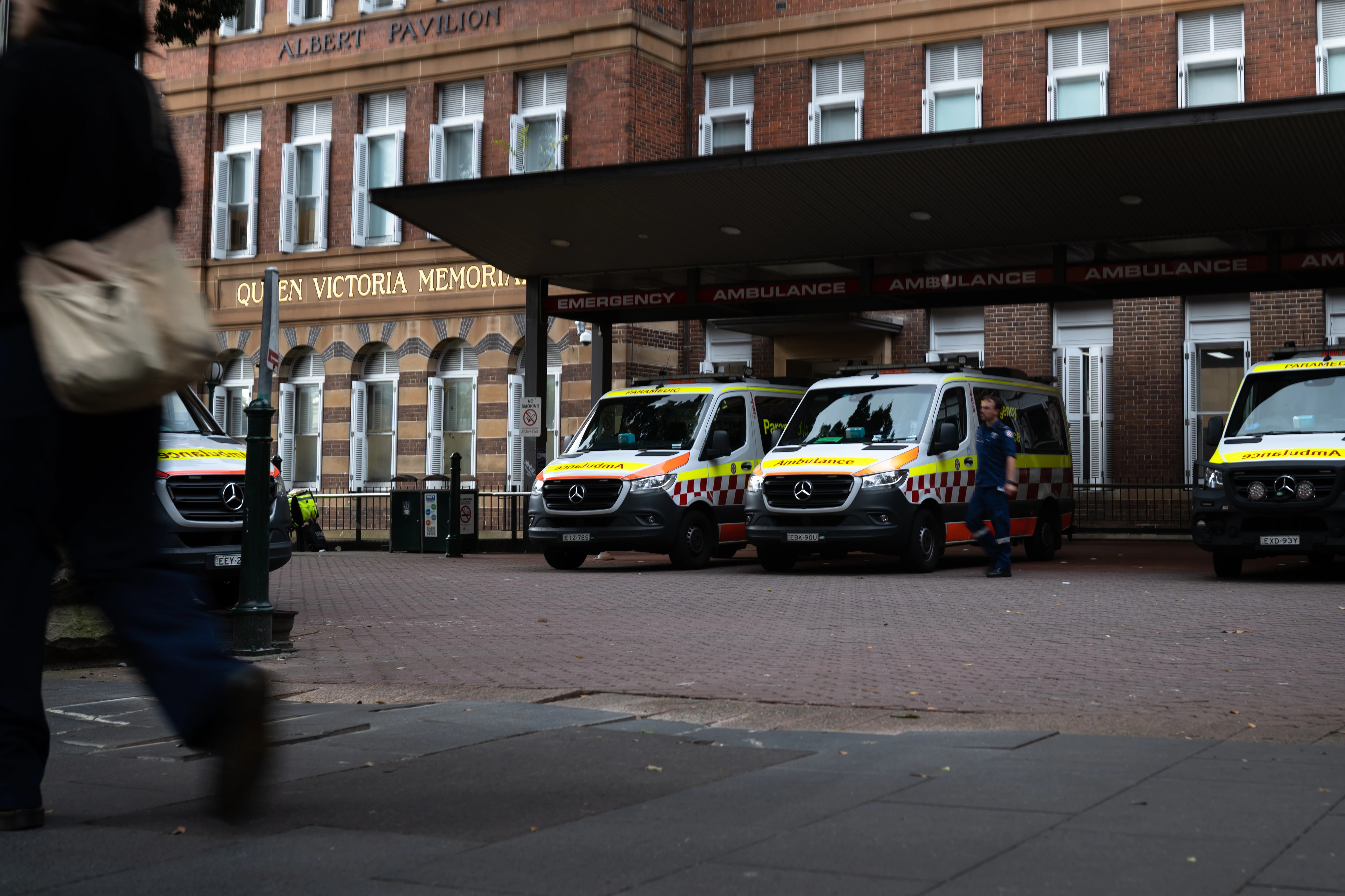 Fungal Tragedy: What Happened at Royal Prince Alfred Hospital? (2026)