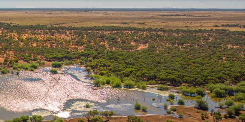 Contestants settled in for their first night at camp in the outback near cloncurry, queensland. 9ragjgydqoqswm