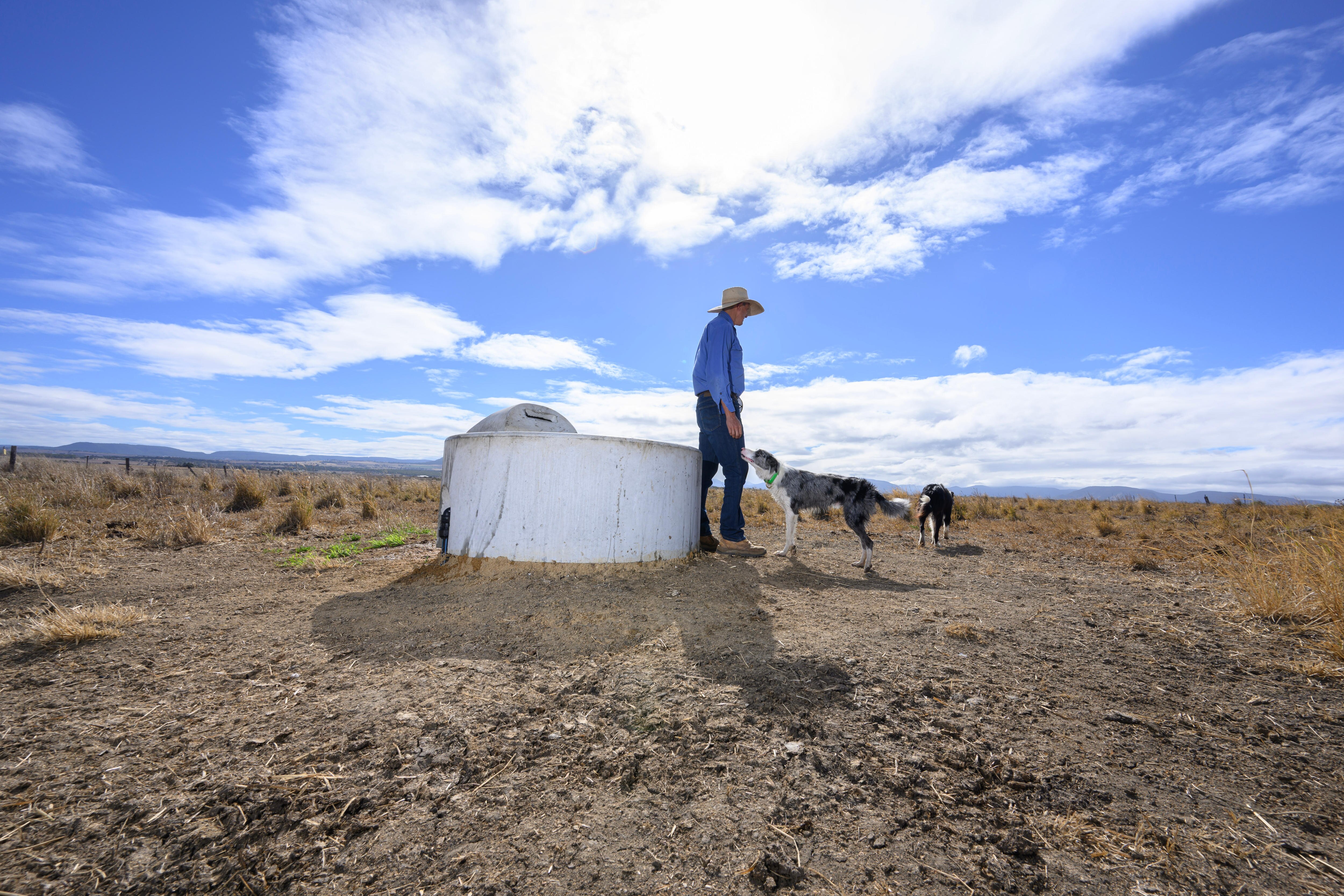 Queensland Farmers Adapt to Dry Spell: Strategies for Survival (2026)