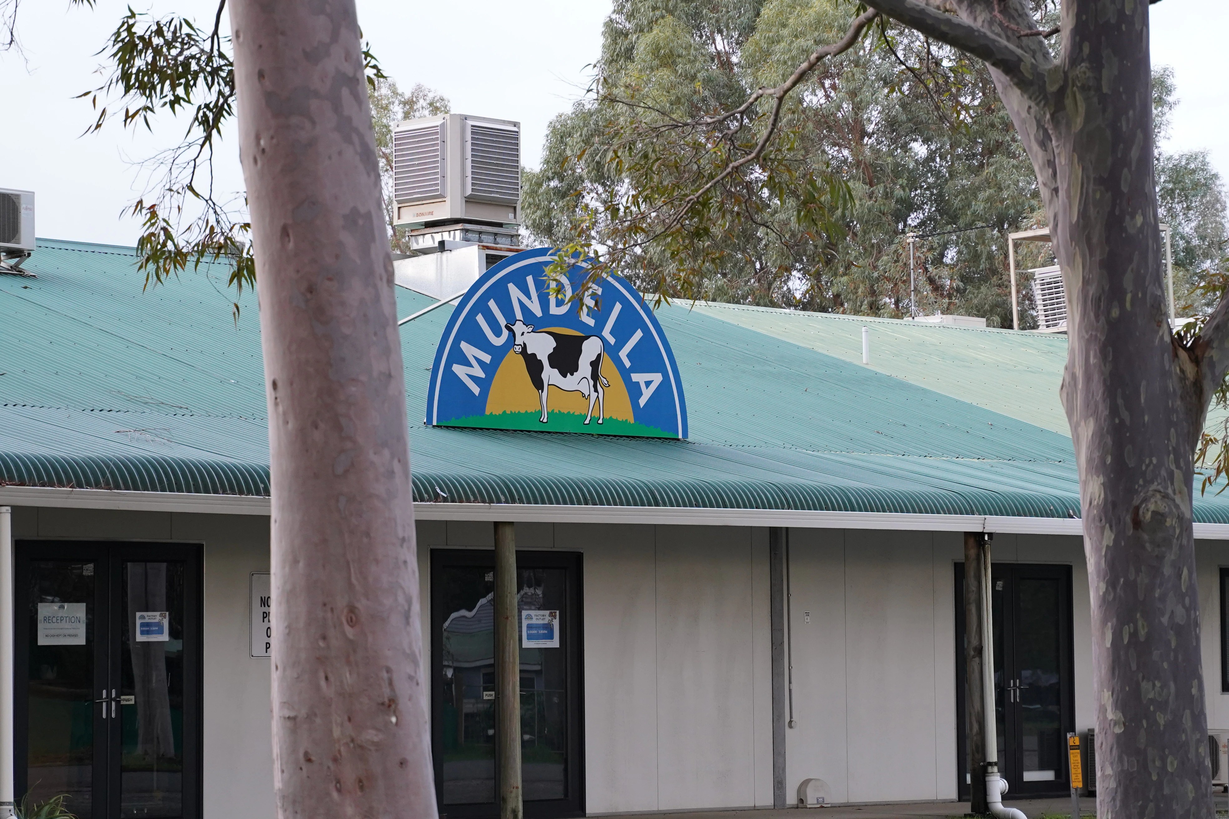Mundella Foods Collapse: Millions Owed, Director Under Investigation (2026)
