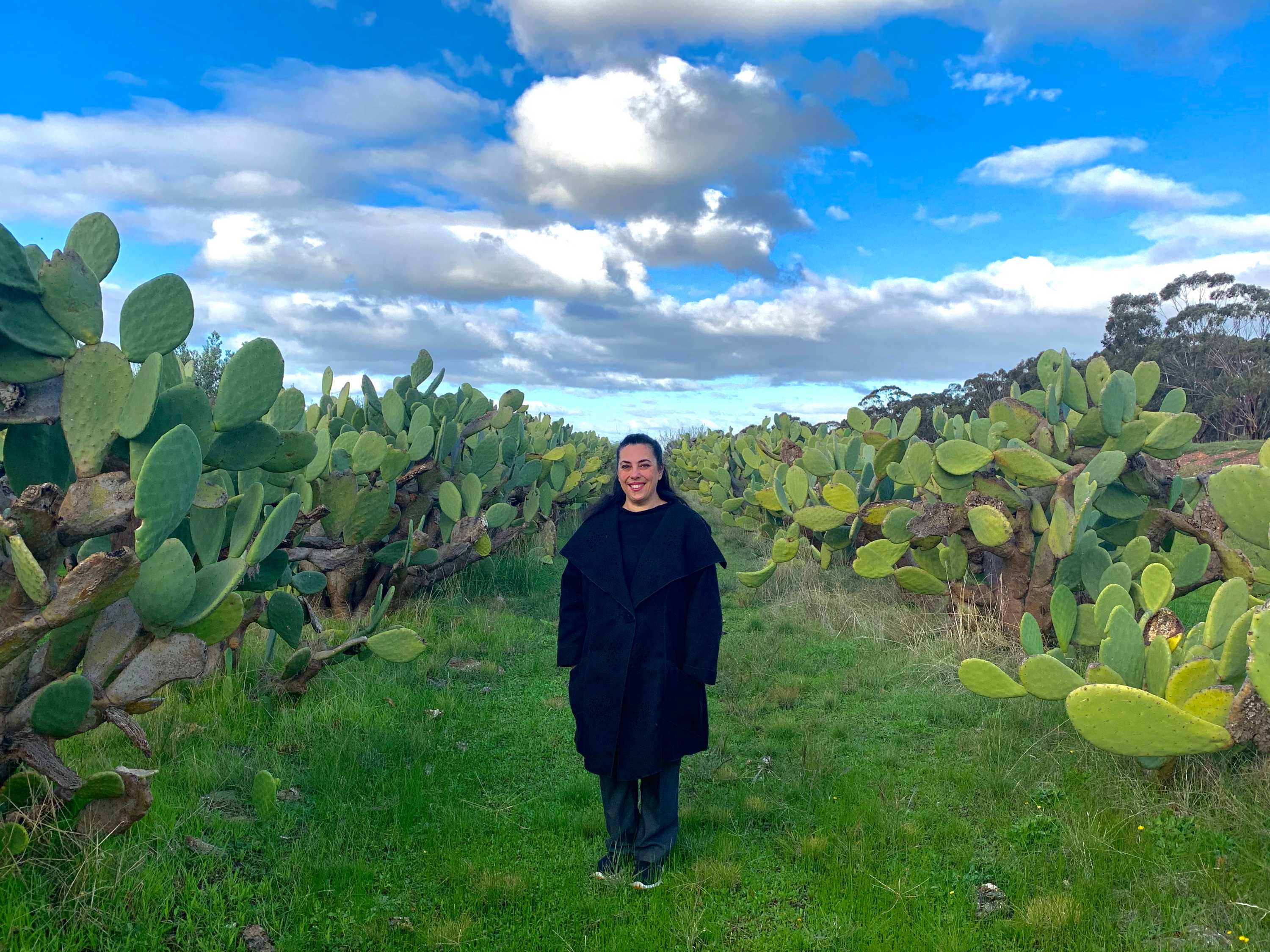 Less than 1 g of fat; Prickly Pear Potential Use For Health Products Explored As Research Looks At Its Benefits Abc News