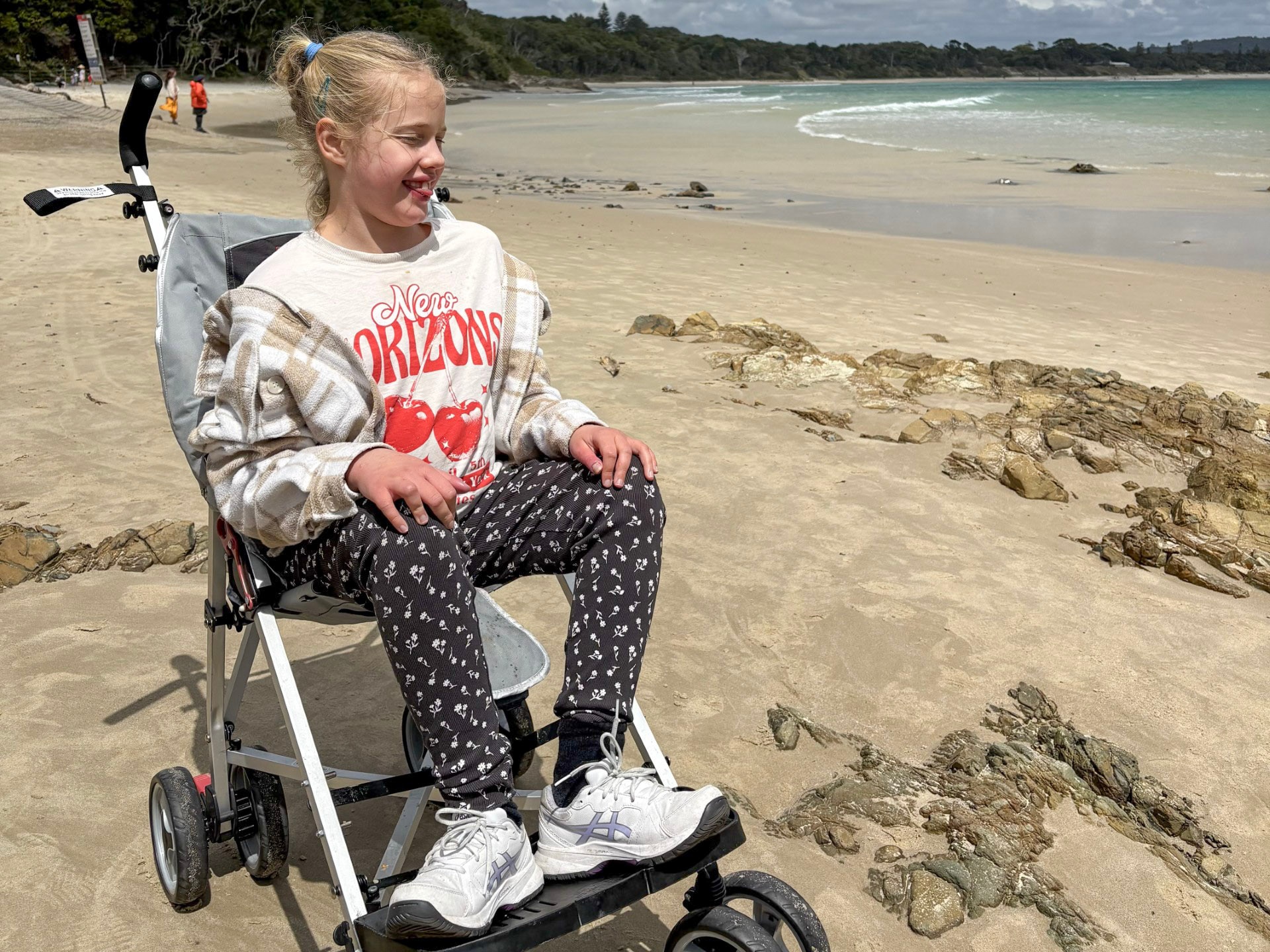 Dog Beach Accessibility: Sunshine Coast Council's Changes Spark Outrage (2026)