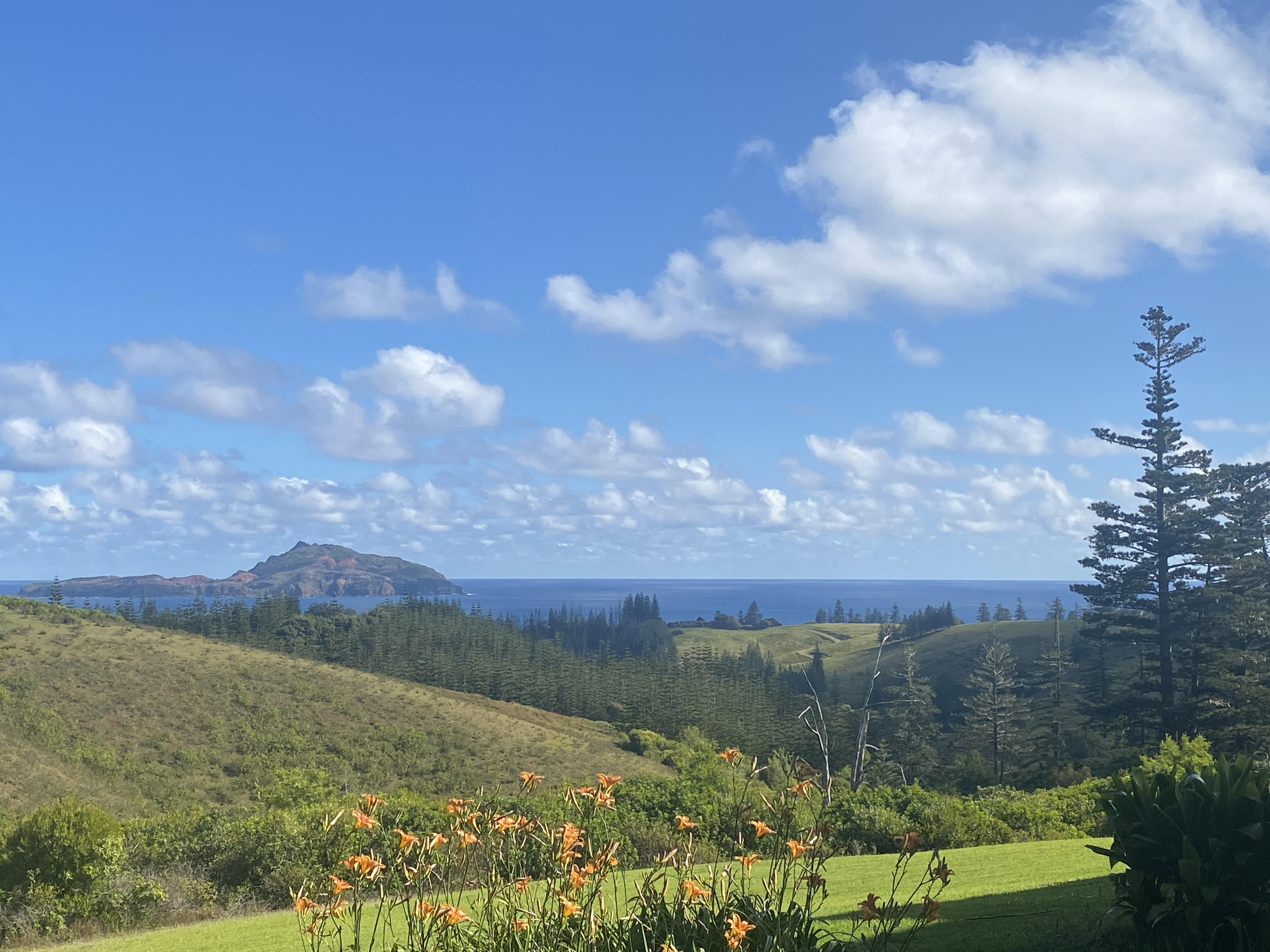 Travel Trivia: A Global Adventure - July 22nd Edition (2026)