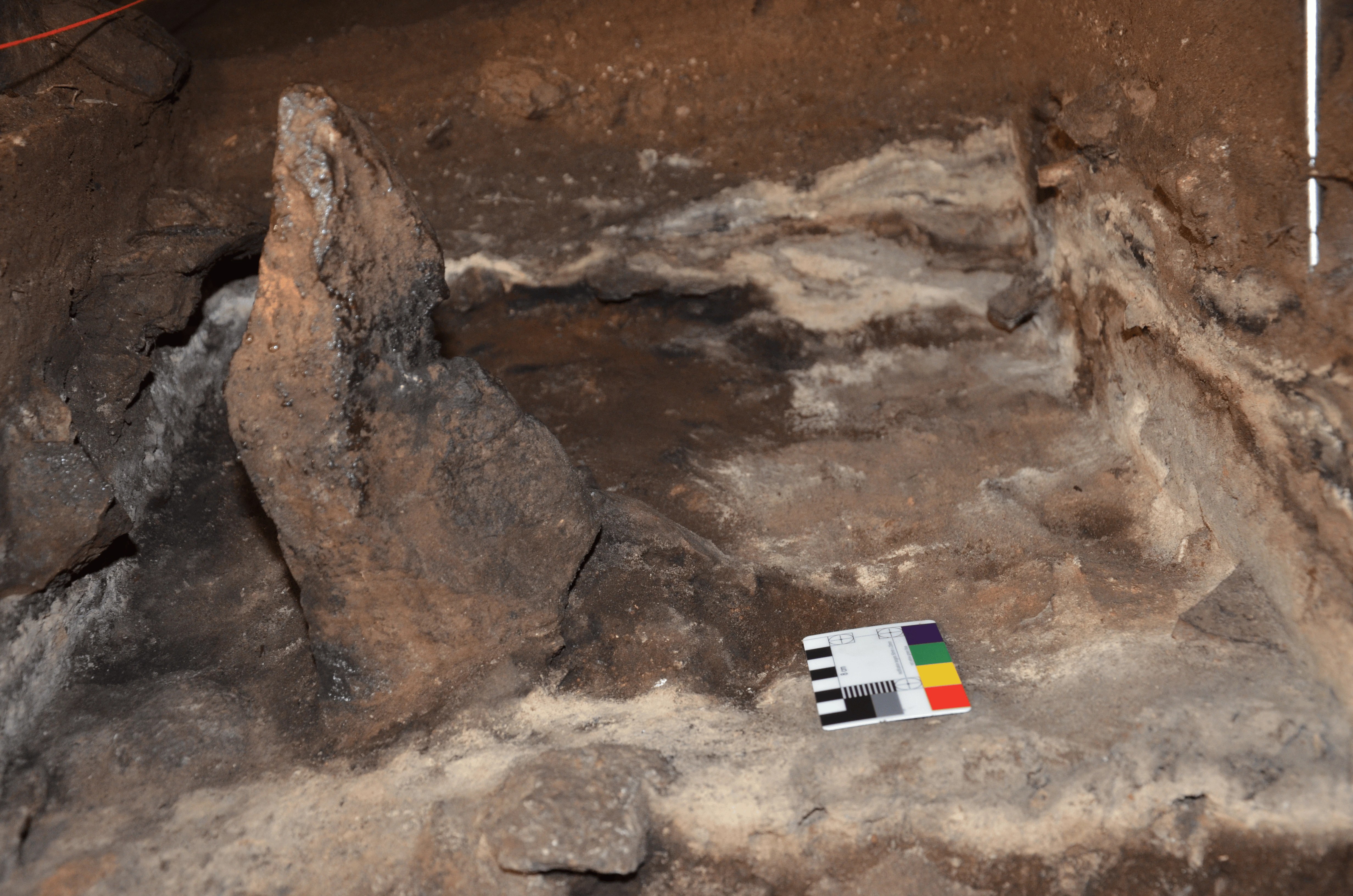 Uncovering Ancient Rituals: 25,000-Year-Old Grass Traces in Victorian Cave (2026)