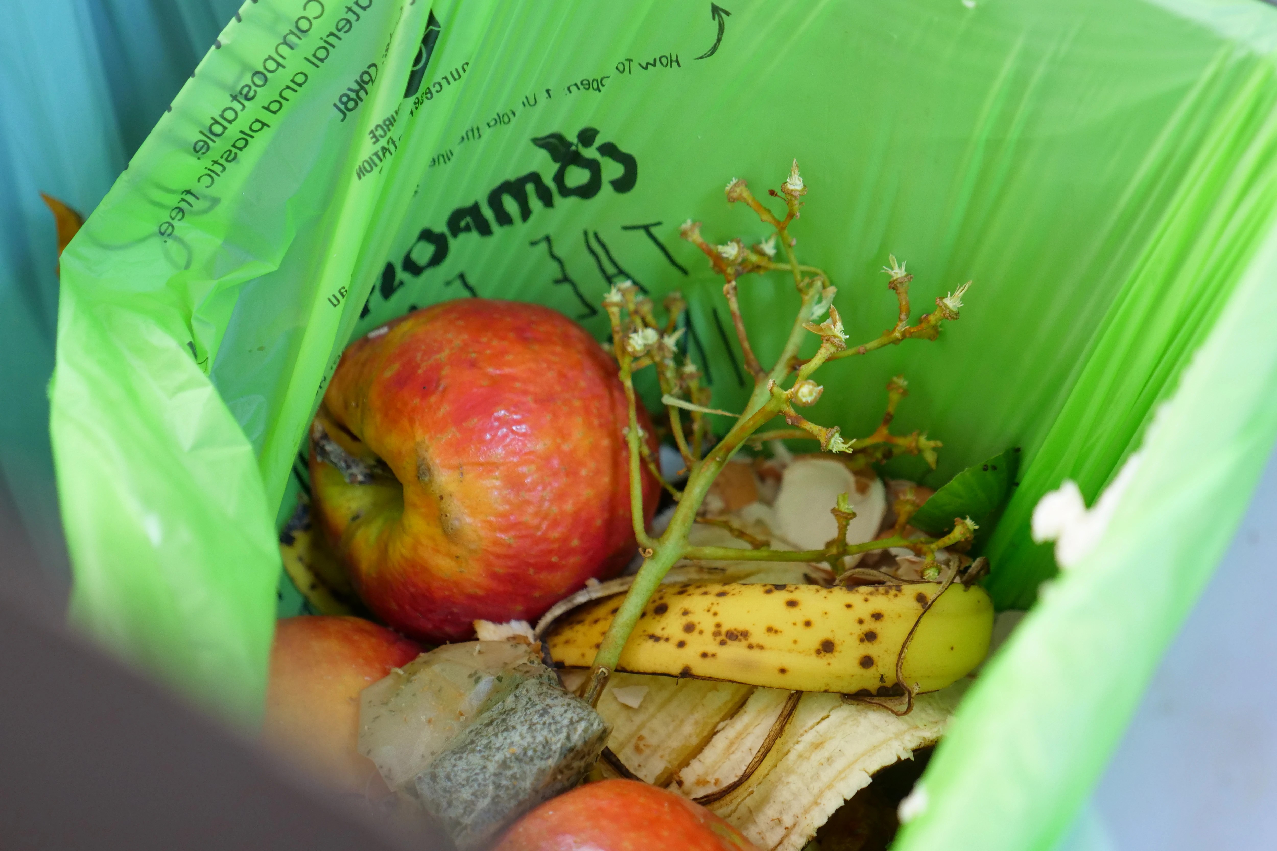 Waste Authority WA Quietly Changes Rules On What Can Go In FOGO Bins
