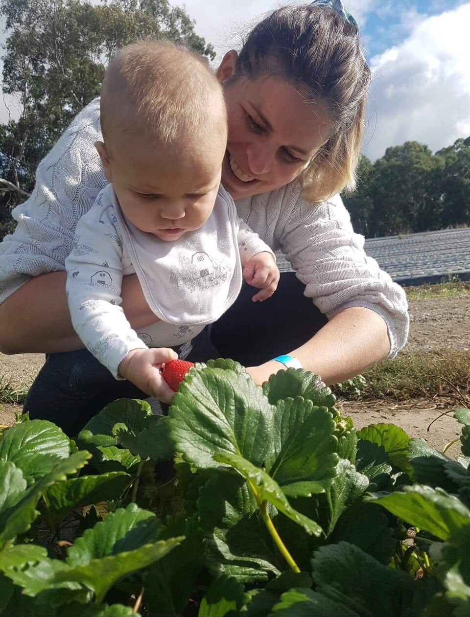 SA Teacher Wins Long-Service Leave Case After Parenting Break Struggle (2026)