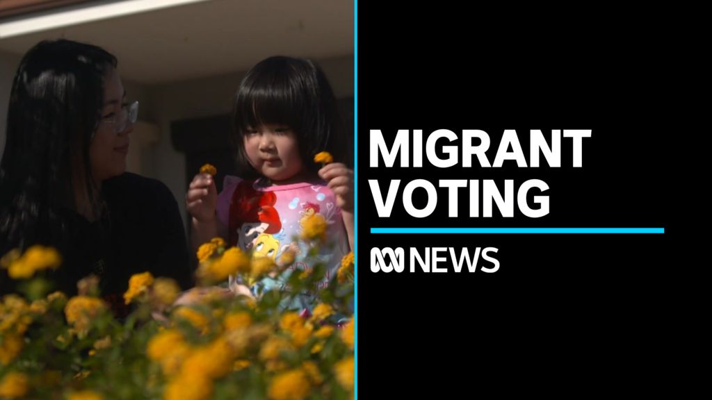 Immigrant News - Premium Landscape Design Gallery - Retina