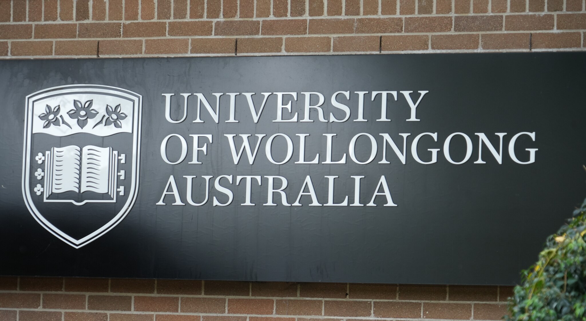 ICAC: UOW Chancellor's Opposition to Advertising Senior Role (2026)