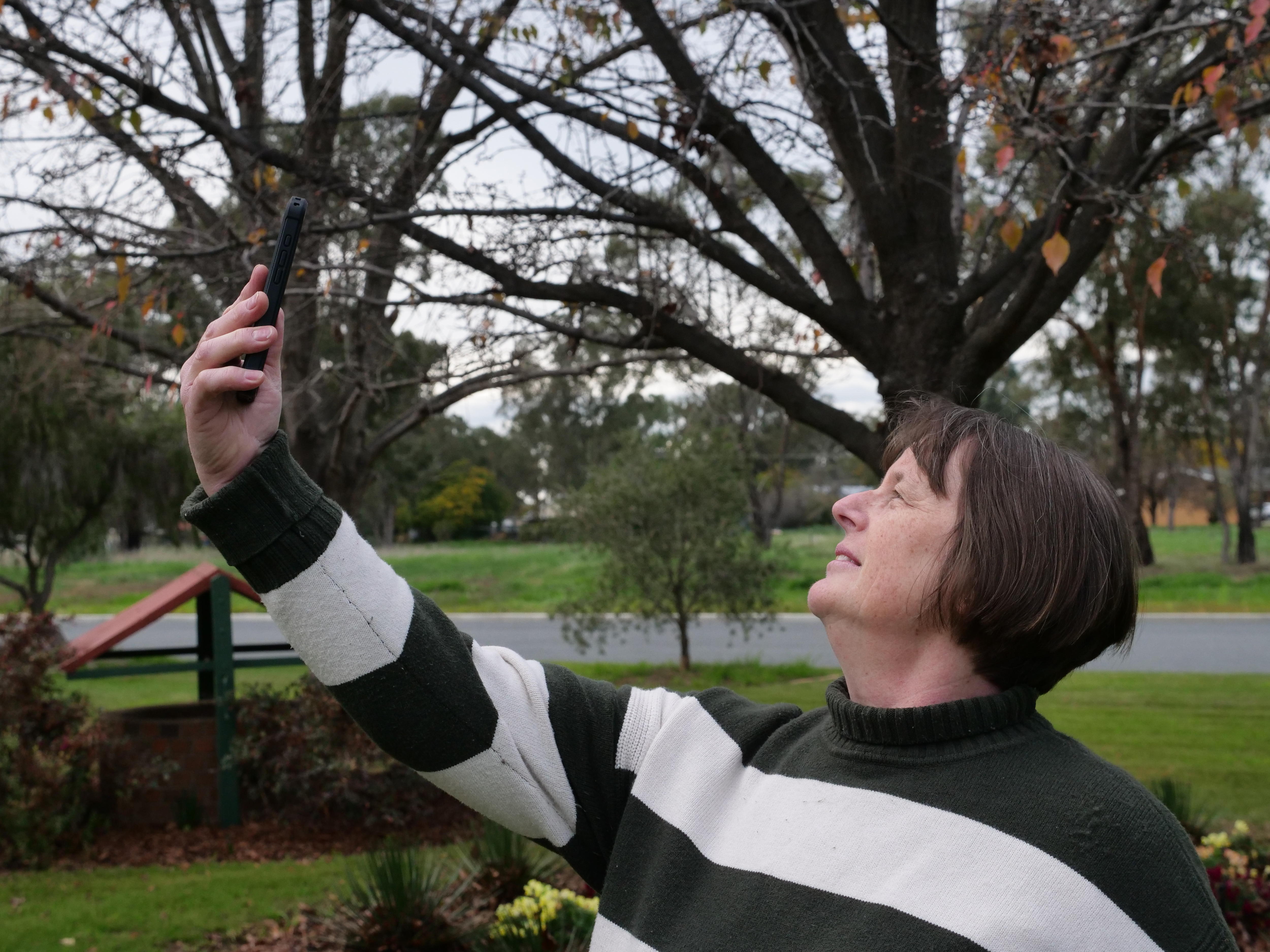 Telcos forced to publish new mobile coverage maps (2026)