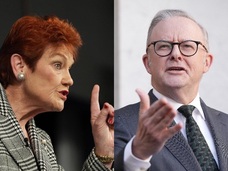 Labor's Familiar Campaign Against Pauline Hanson's Unfamiliar Views on Health and Childcare (2026)