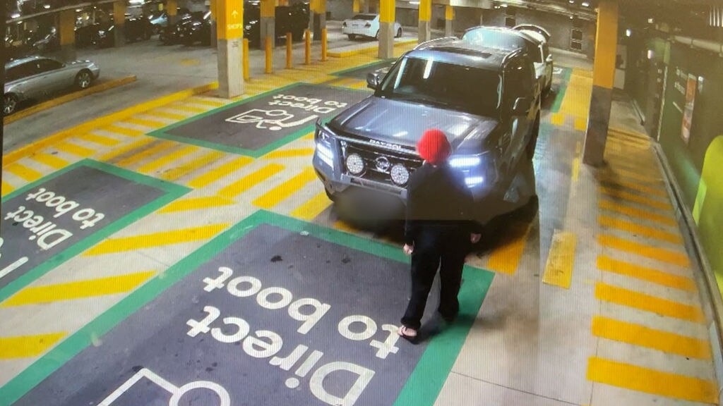 Nypd Thieves Steal Car With Baby And Elderly Woman Inside In Bronx - Beautiful Light Design - HD