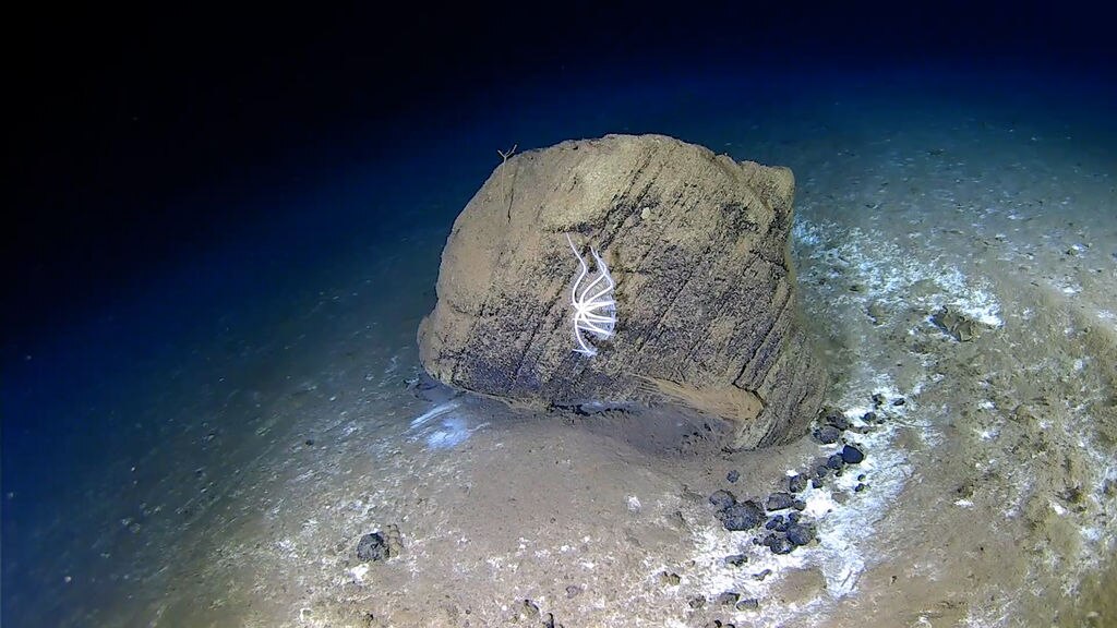 Scientists And Undercover Video Shine Light On Unsustainable Deep Sea - Creative Landscape Background - High Resolution