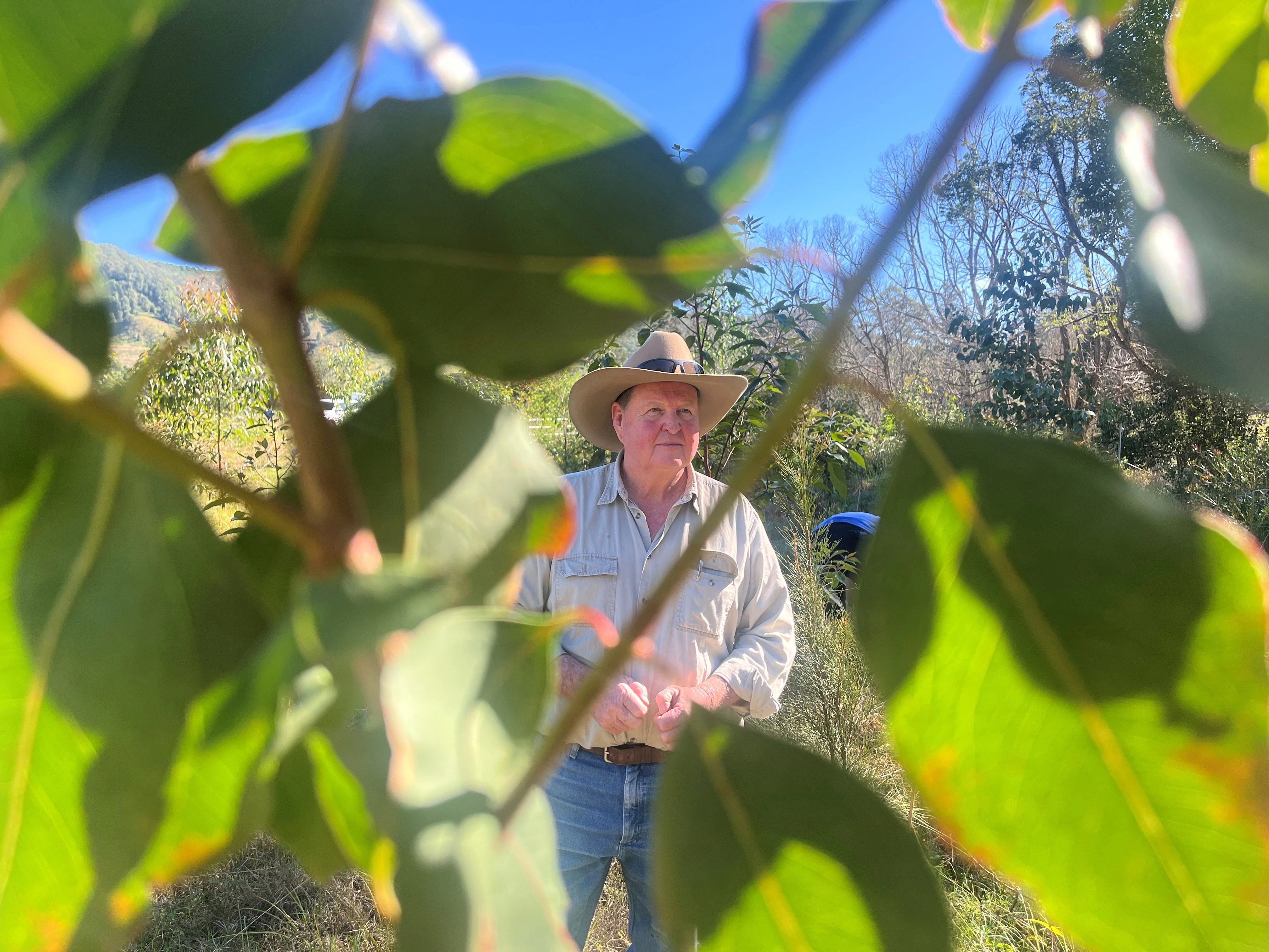 Flood Mitigation: Cattle Farmer's 14K Tree Journey | Nature-Based Solutions (2026)