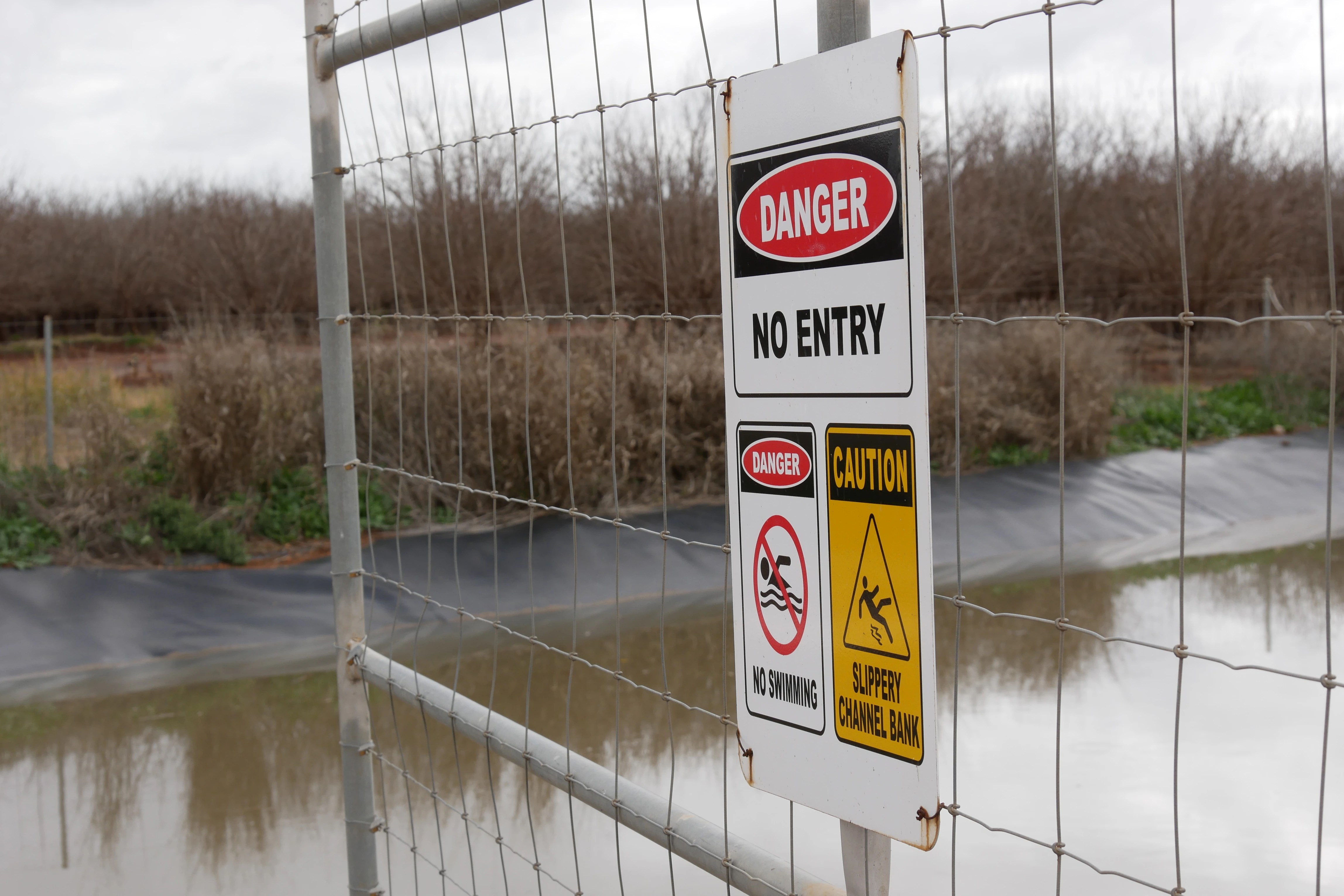 Kangaroo Drowning Crisis: Riverina Canal's Dark Secret (2026)