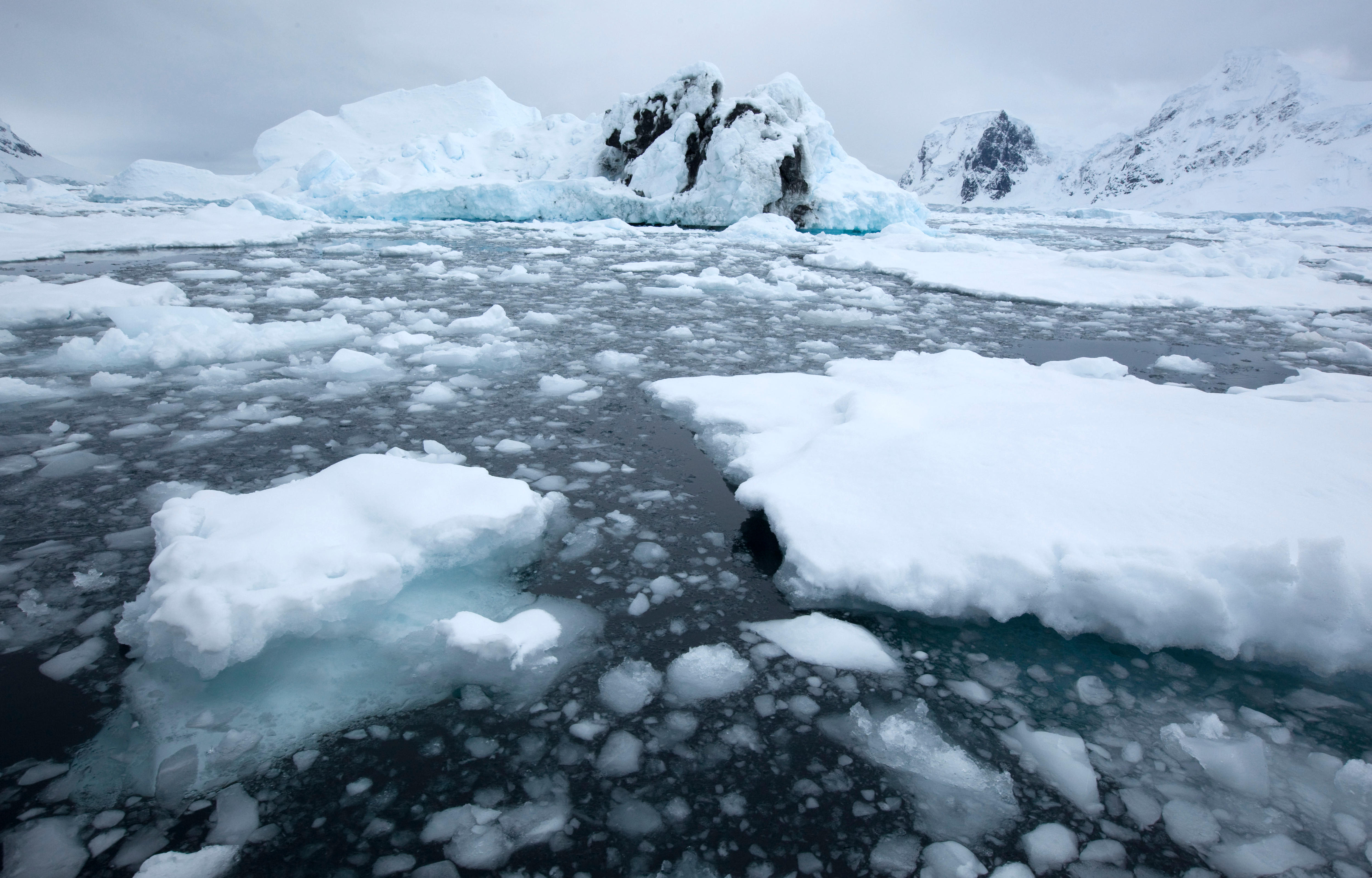 US Climate Change Denial: A Dangerous Precedent in Antarctica (2026)