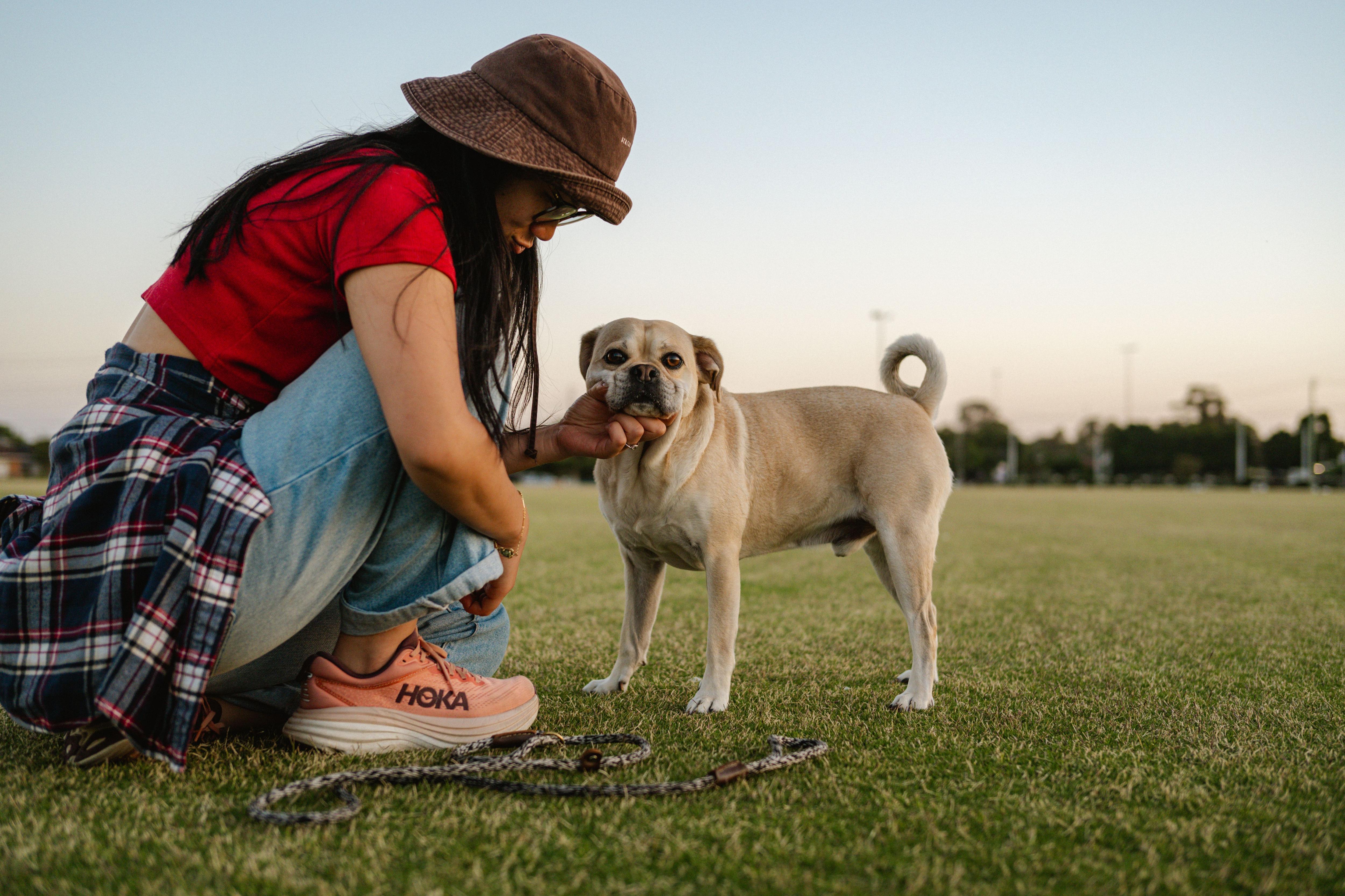 Is Pet Insurance Worth It? Pros, Cons & Cost Breakdown! (2026)