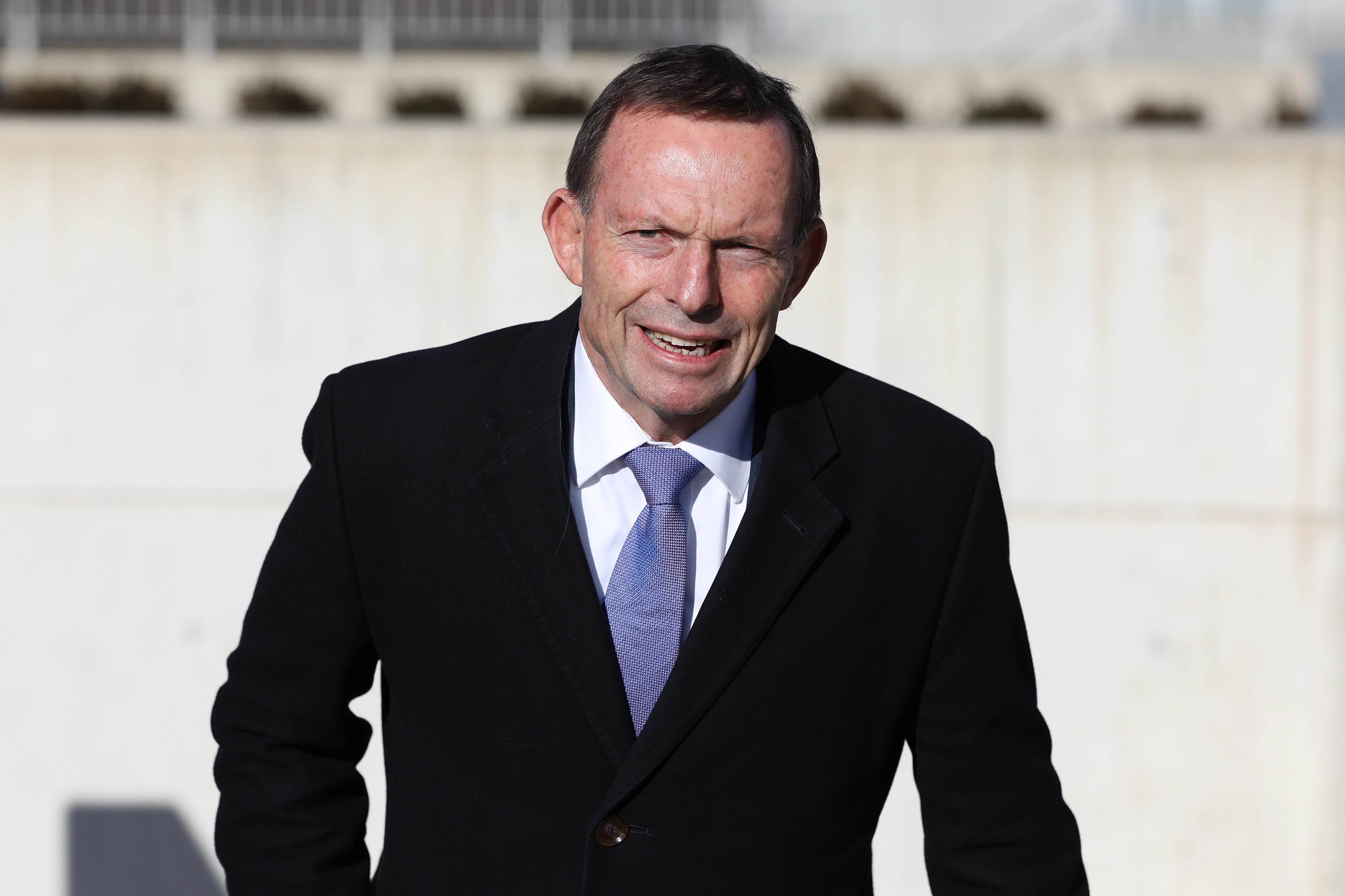 Pauline Hanson's Islamophobia: How Tony Abbott's Comments Impact the Liberals (2026)