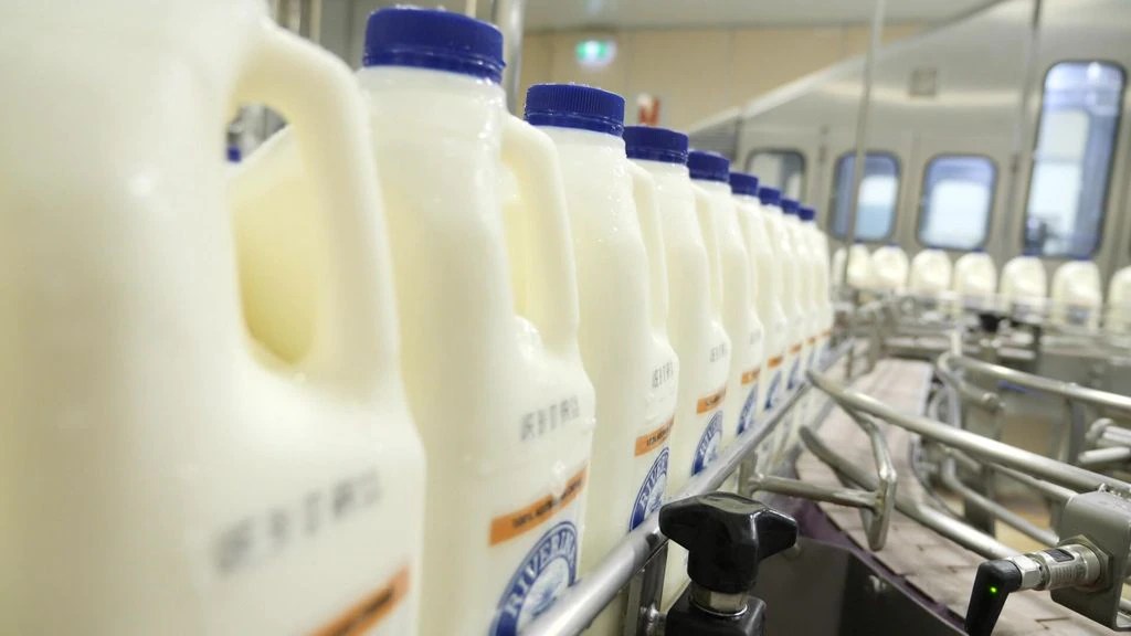 Revolutionary Tech Saves Millions of Milk: Canberra's Breakthrough (2026)