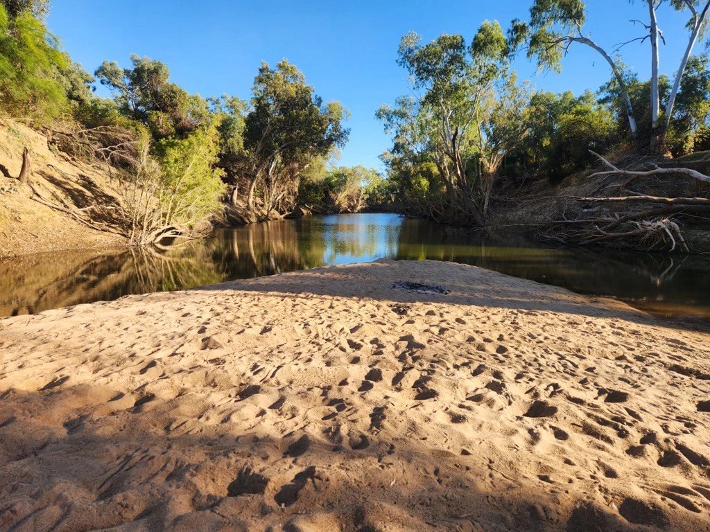 Saltwater Crocodile Takes Dog in Rare Inland Attack? | Flinders River, Australia (2026)