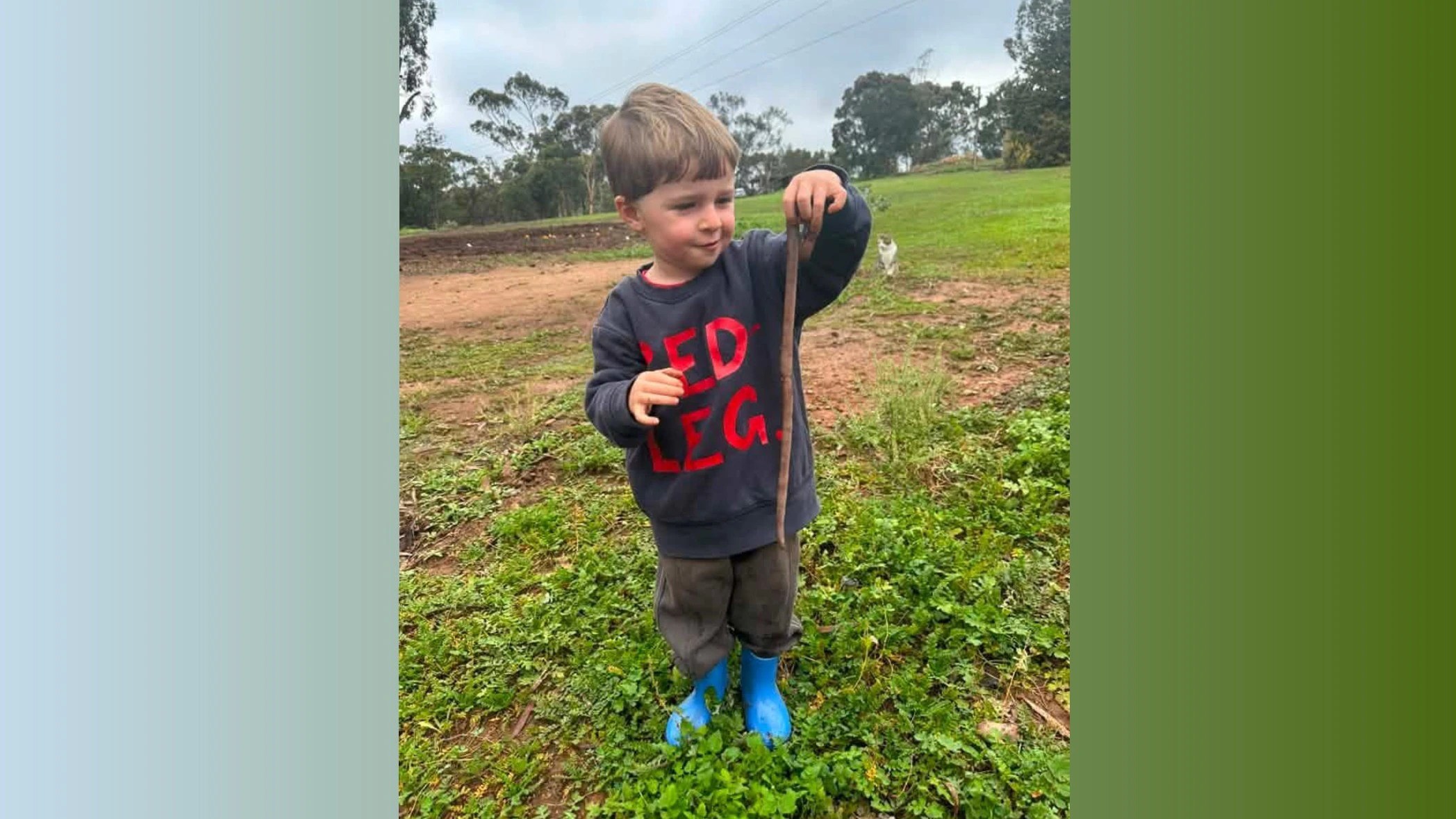 Giant Earthworms in SA: New Species Discovery? (2026)
