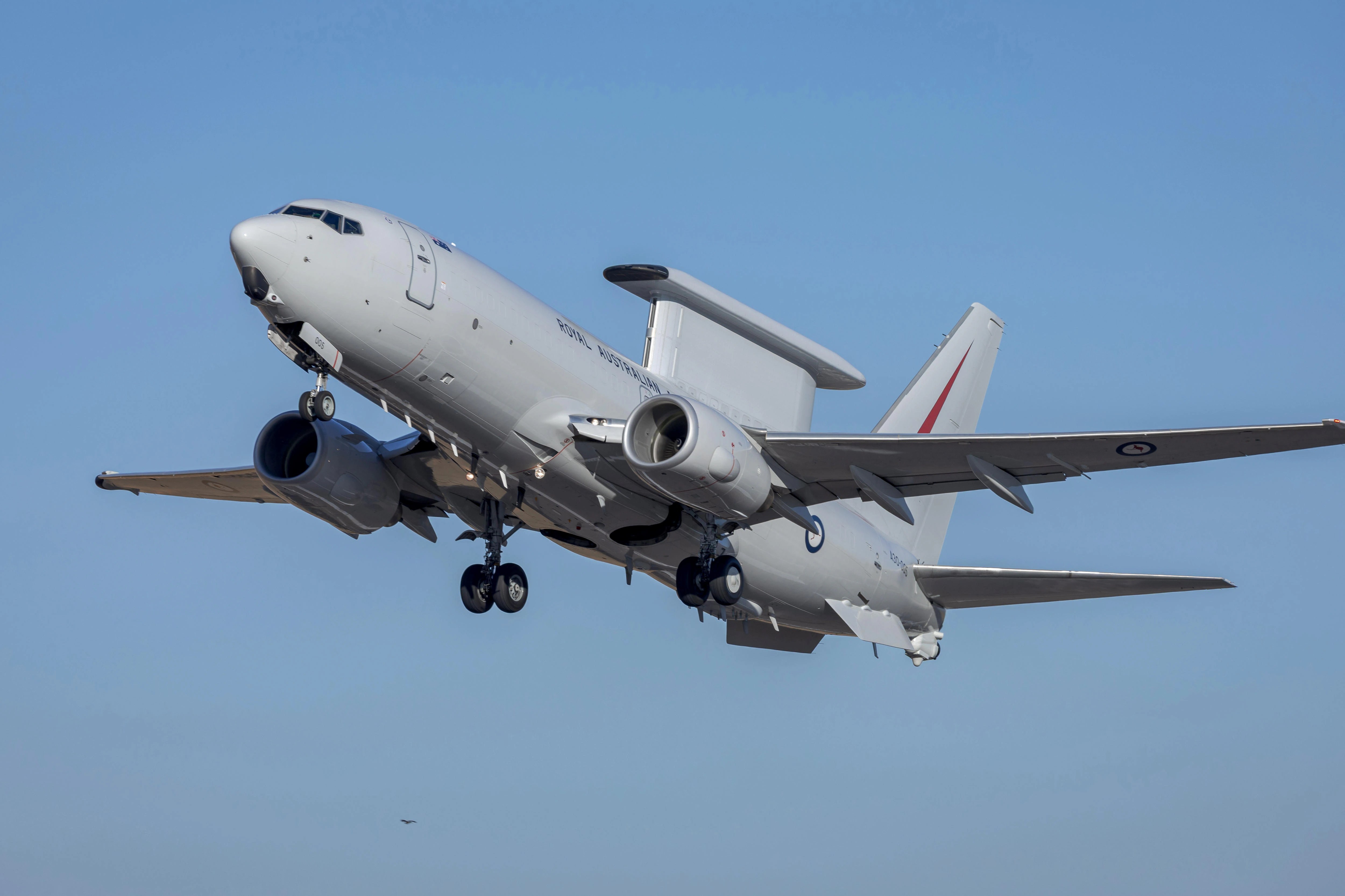 Australia's Wedgetail Plane: How It Helped NATO During Russian Incursion Over Estonia (2026)