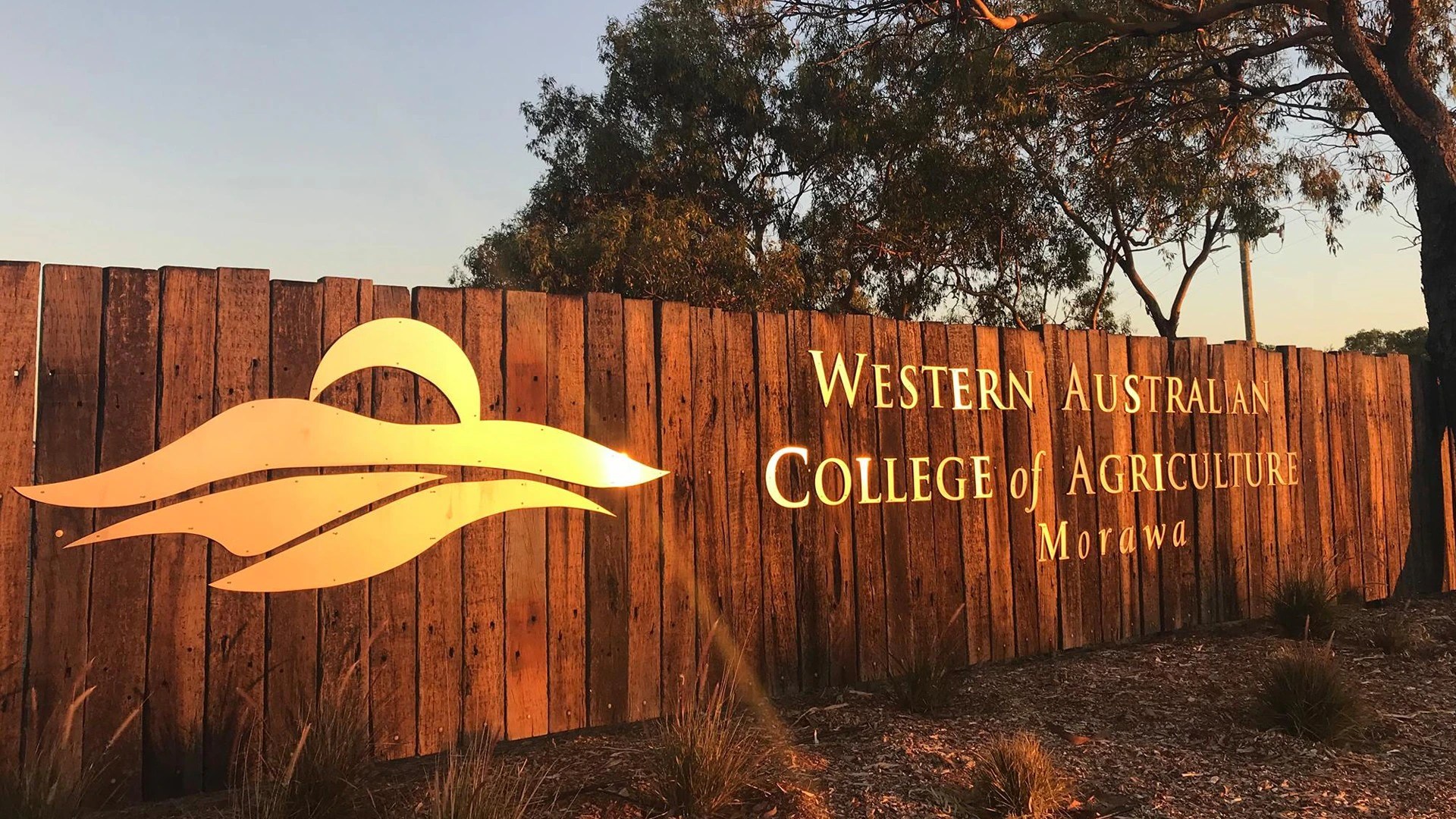 Toxic Mouse Bait Scare: School Closed in Western Australia (2026)