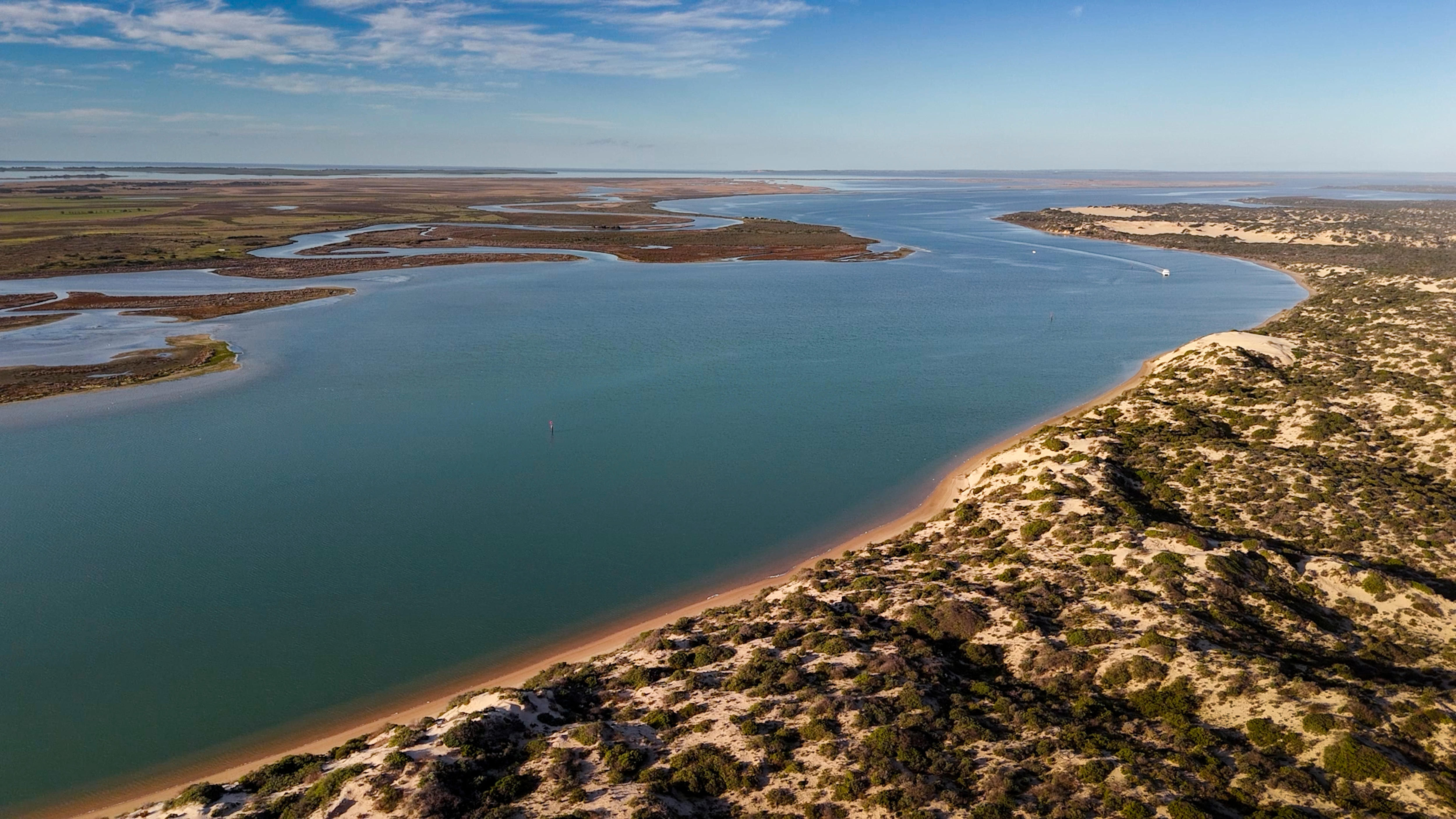 H5 Bird Flu Threatens Australia's Iconic Coorong Wetlands (2026)
