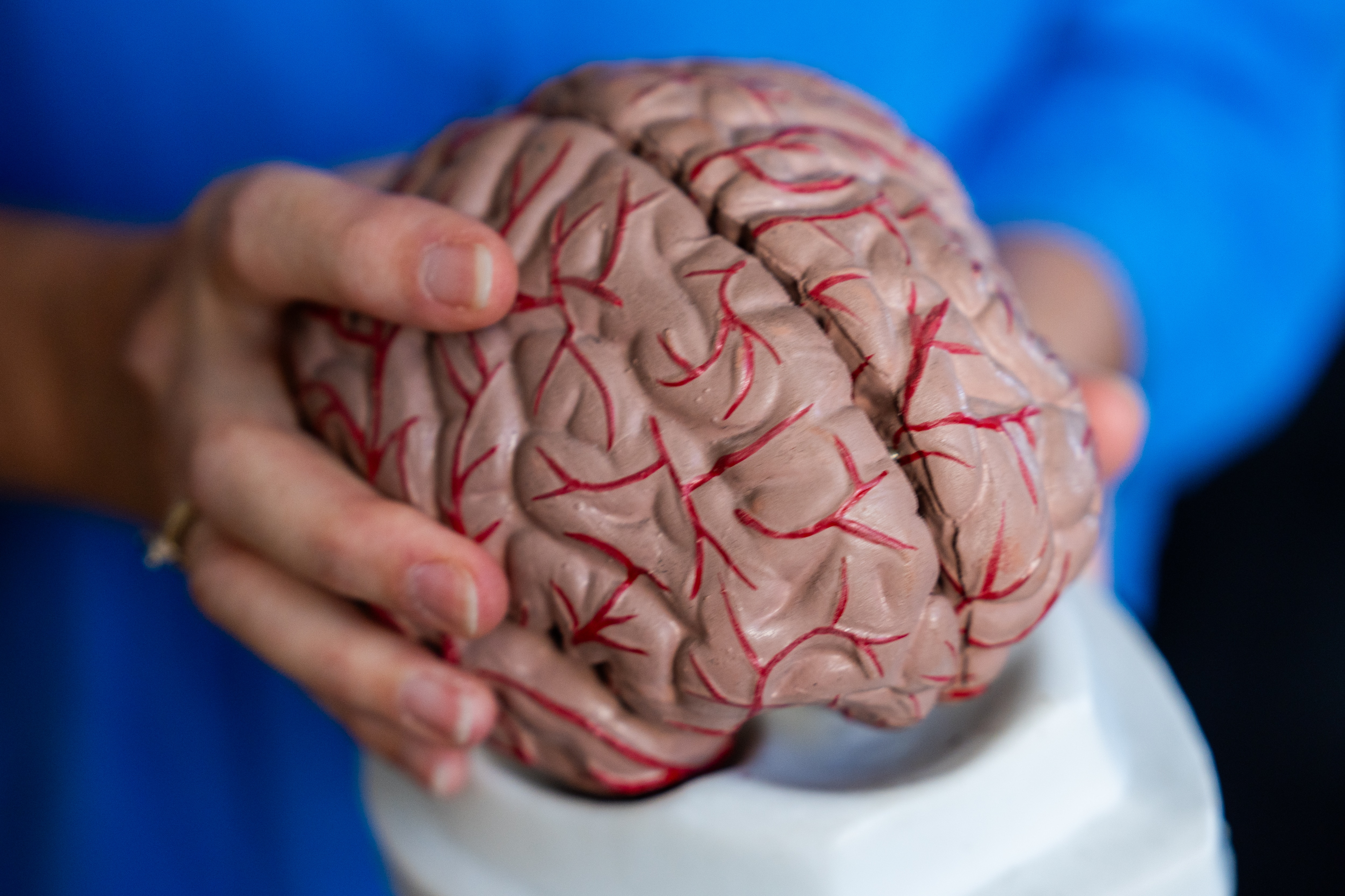 Domestic Violence and CTE: The Hidden Threat to Victims and Survivors (2026)