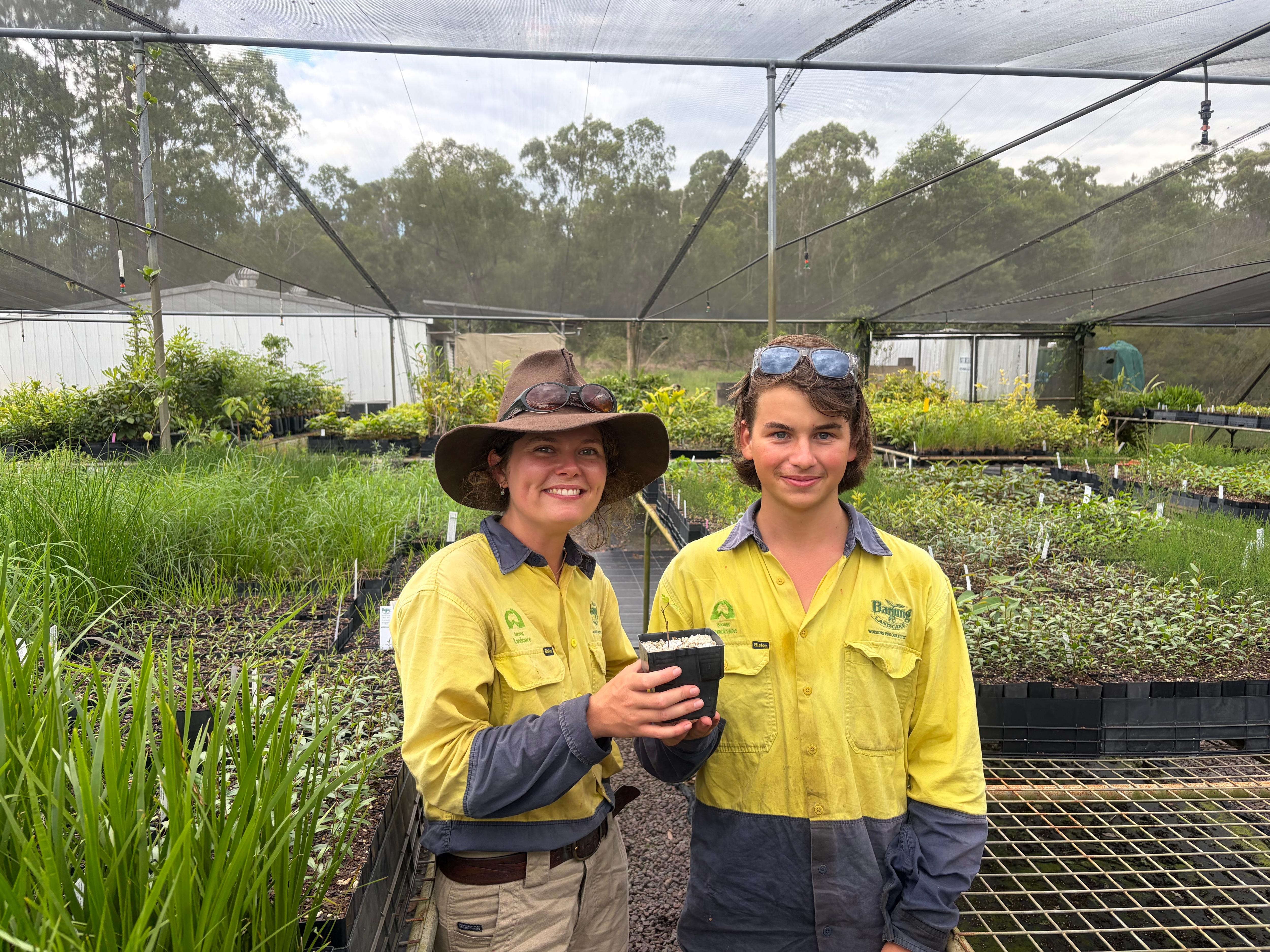 Race to Save the 'Zombie Tree': Scientists Battle Myrtle Rust to Prevent Extinction (2026)