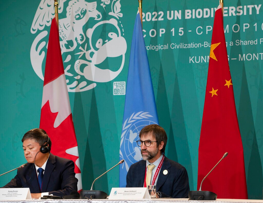 Historic Biodiversity Agreement Reached At U N Conference - Amazing Abstract Background - Desktop