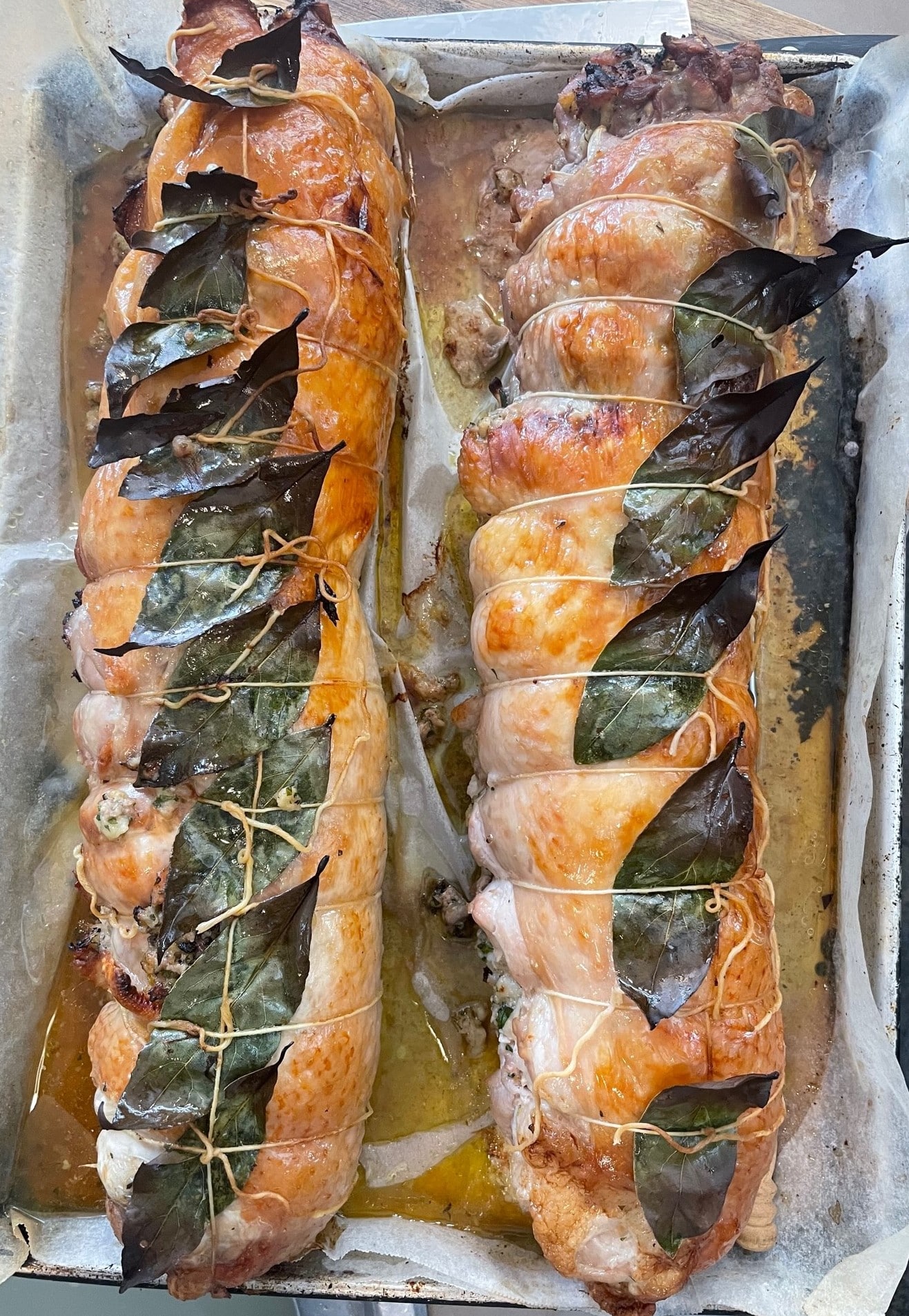 Herbert Learning Turkey - Geometric Illustrations - Incredible 4K Collection