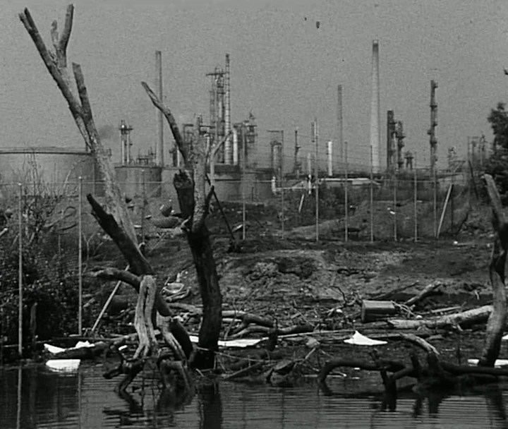 University Students Bioremediate Agent Orange Chemicals in Sydney Waterways (2026)