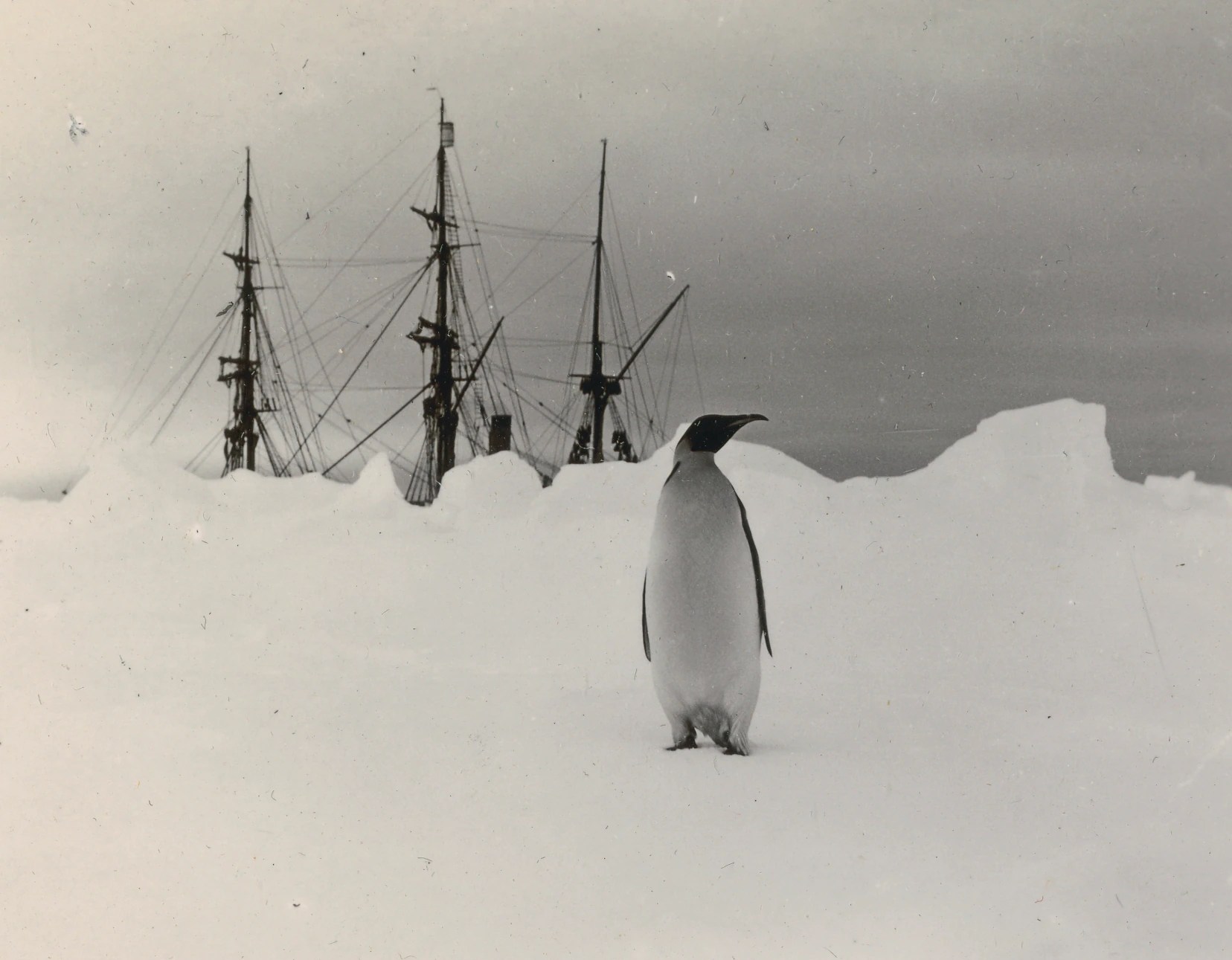 Unveiling a Century-Old Mystery: Discovery Expedition's Legacy (2026)