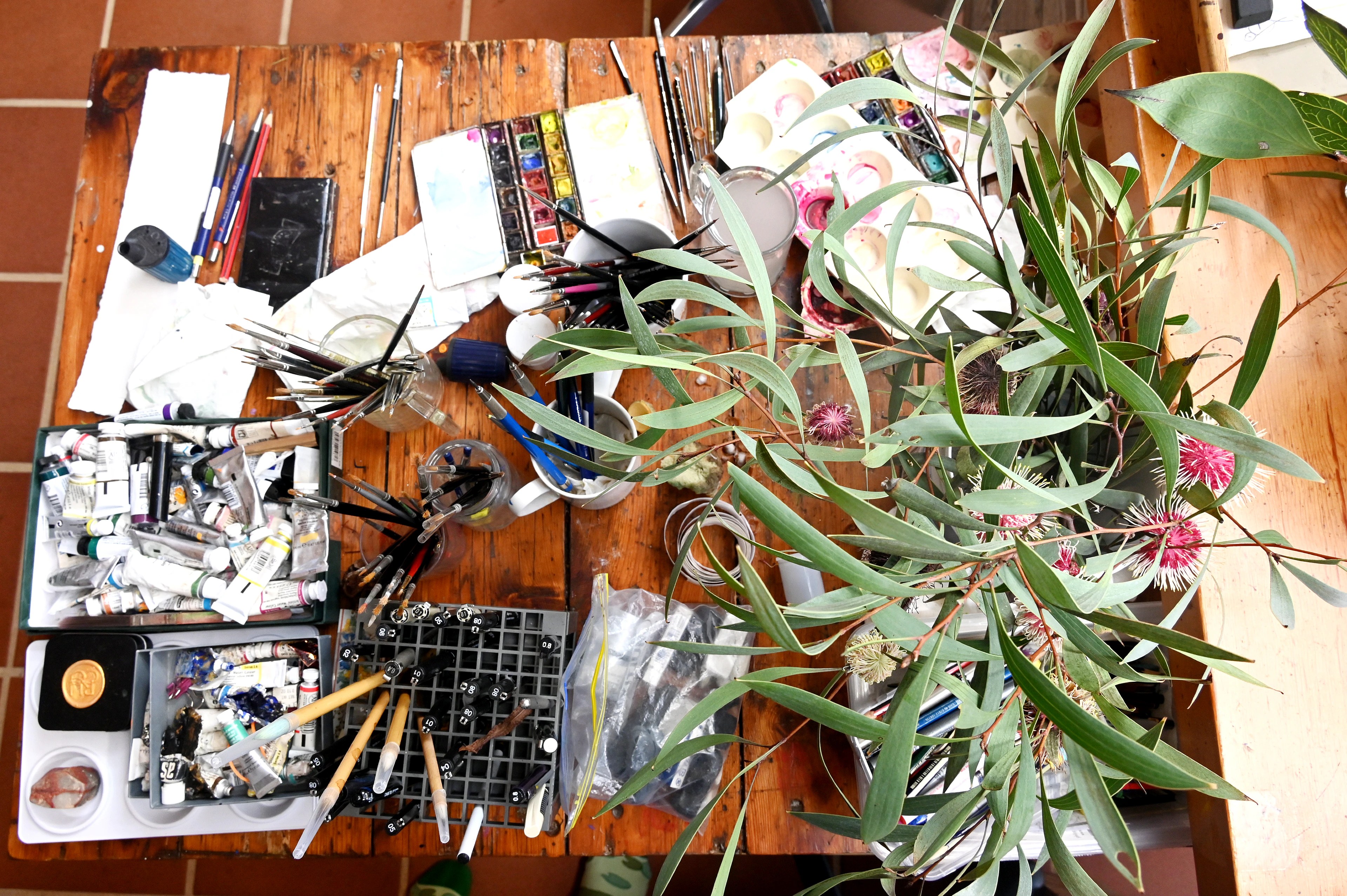 How Women Artists Shaped Australia's Botanical History | Science & Art (2026)