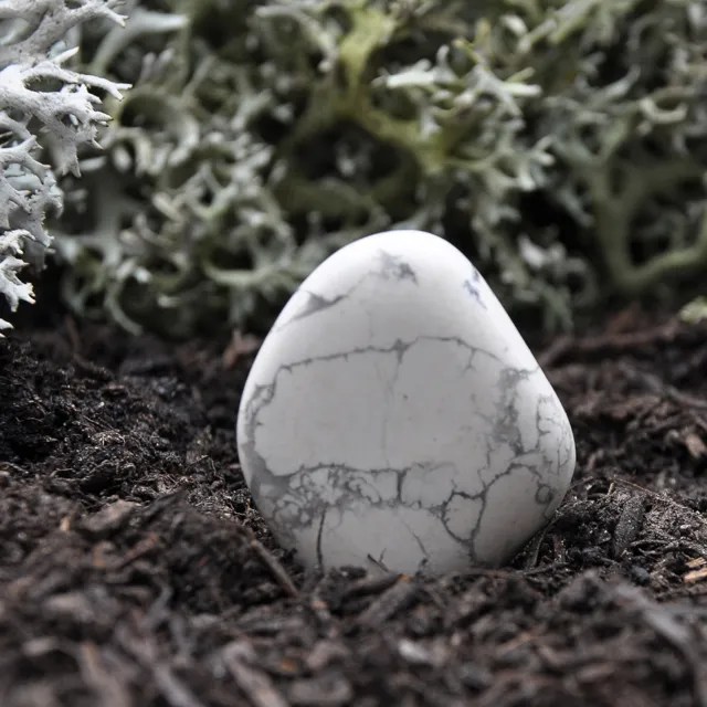 Photo de Howlite