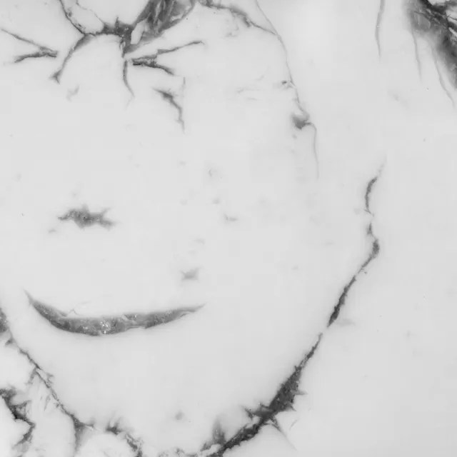 Photo de Howlite