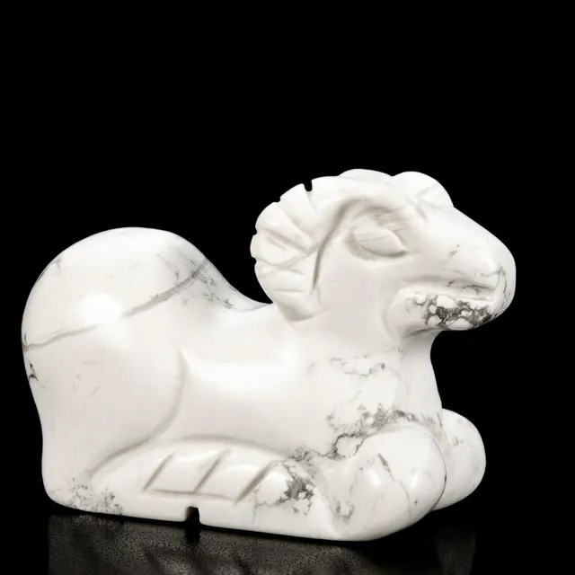 Photo de Howlite