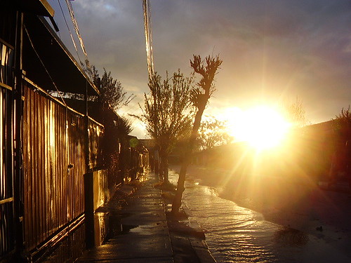 276.424 imágenes gratis de paisaje. Despues de la hermosa lluvia | un hermoso sol