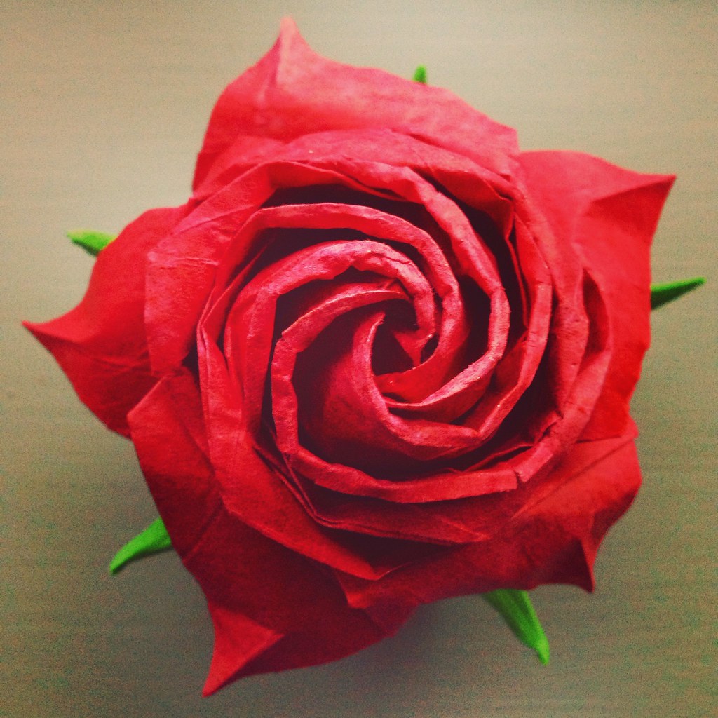 We earn a commission for products purchased through some links in this article. Origami Red Rose Model By Naomiki Sato Folded By Me Alana Wu Flickr