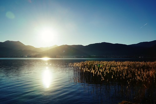 Einen teuren schaden und stellt ein kleiner nager einen weltrekord auf. Kaum zu glauben, aber wahr.... |.. diese Foto entstand aâ¦ | Flickr