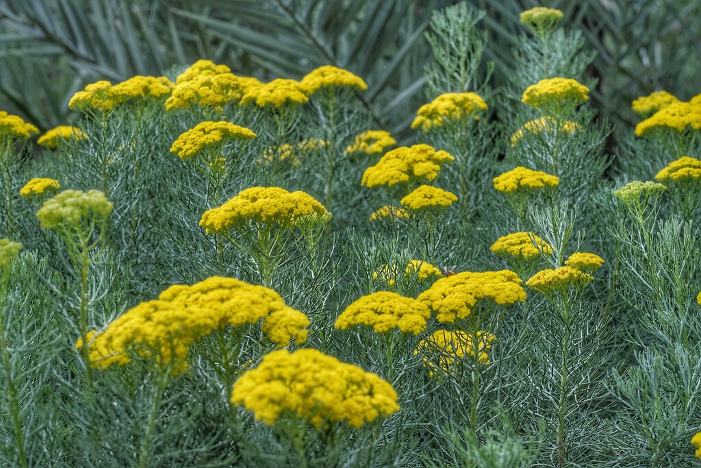 Le Jardin Secret An Islamic Garden In The Heart Of Marrakech Gardens Illustrated