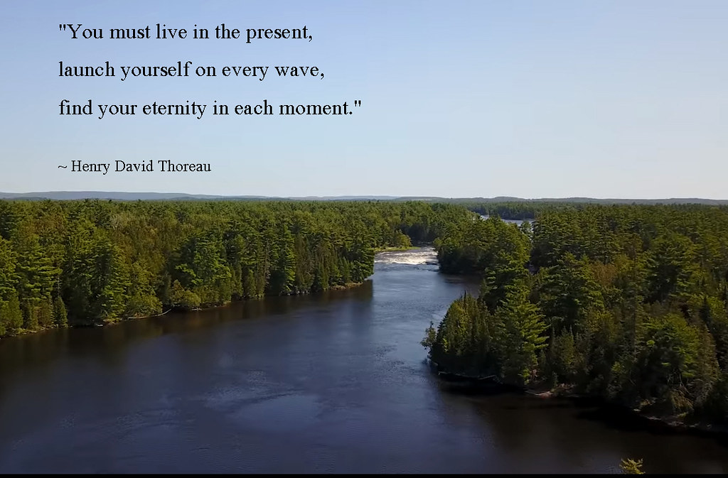 Henry david thoreau, bob blaisdell: Henry David Thoreau Quotes You Must Live In The Present Flickr
